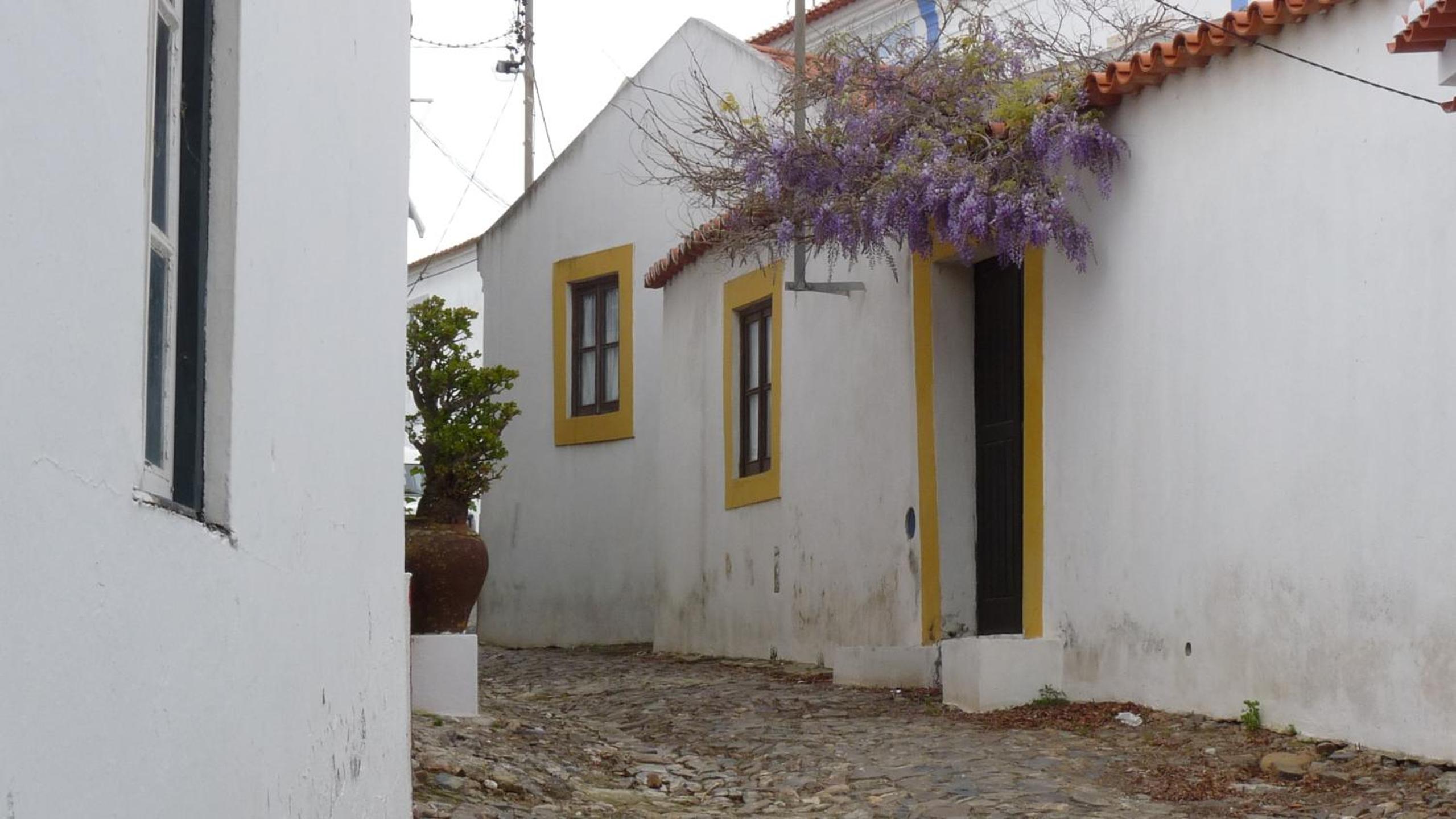 Born To Stay In Milfontes