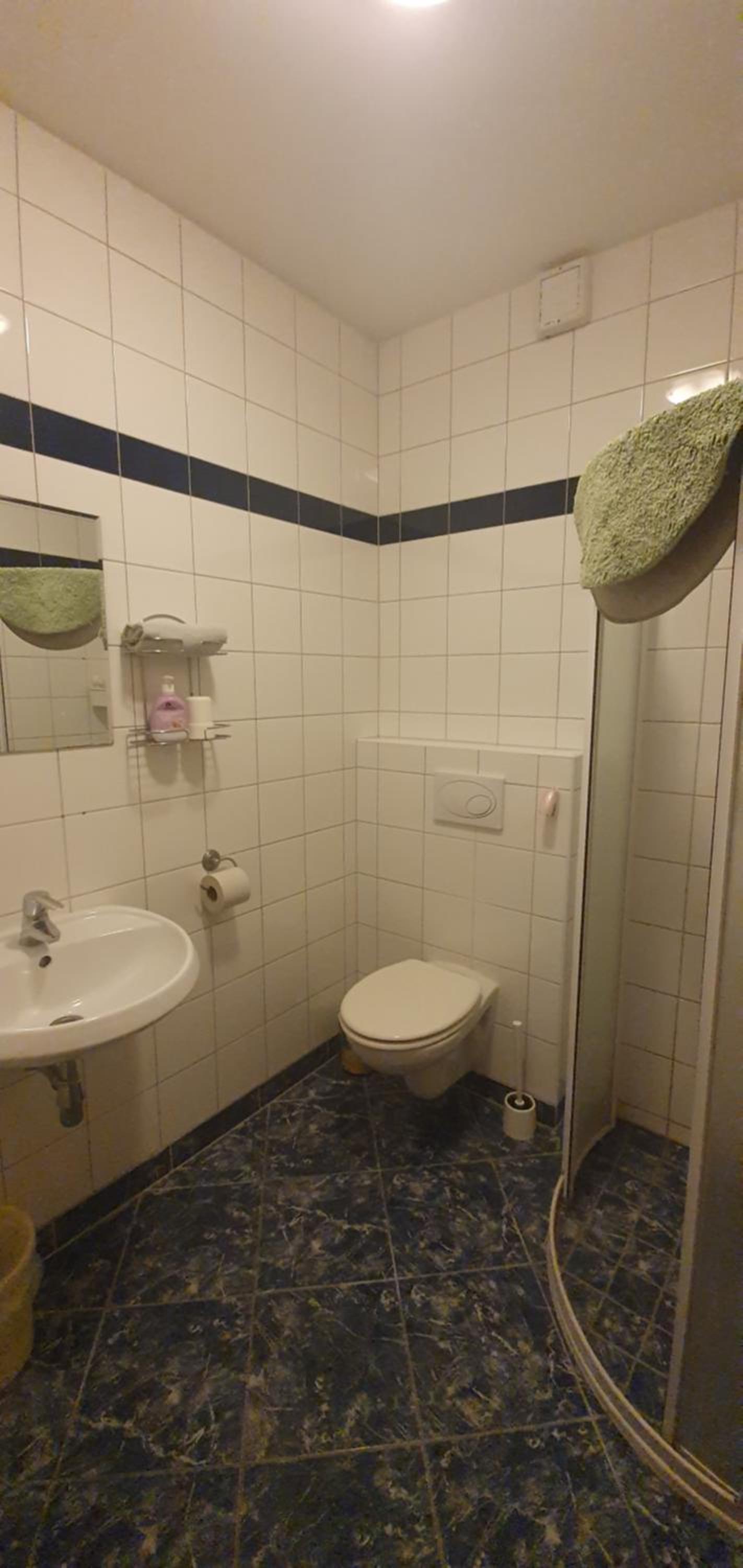 Pod Vinicí