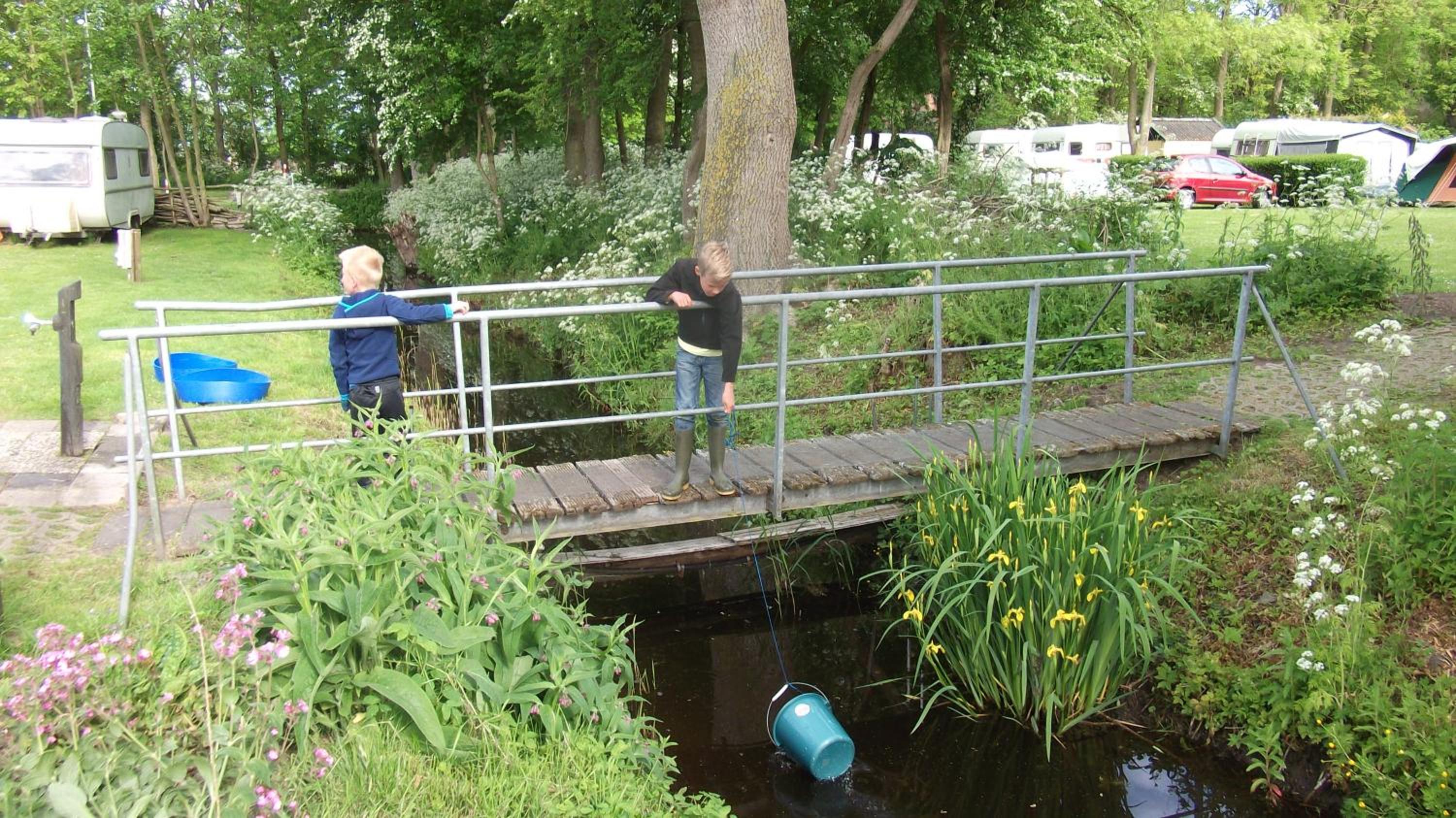 Photo 14