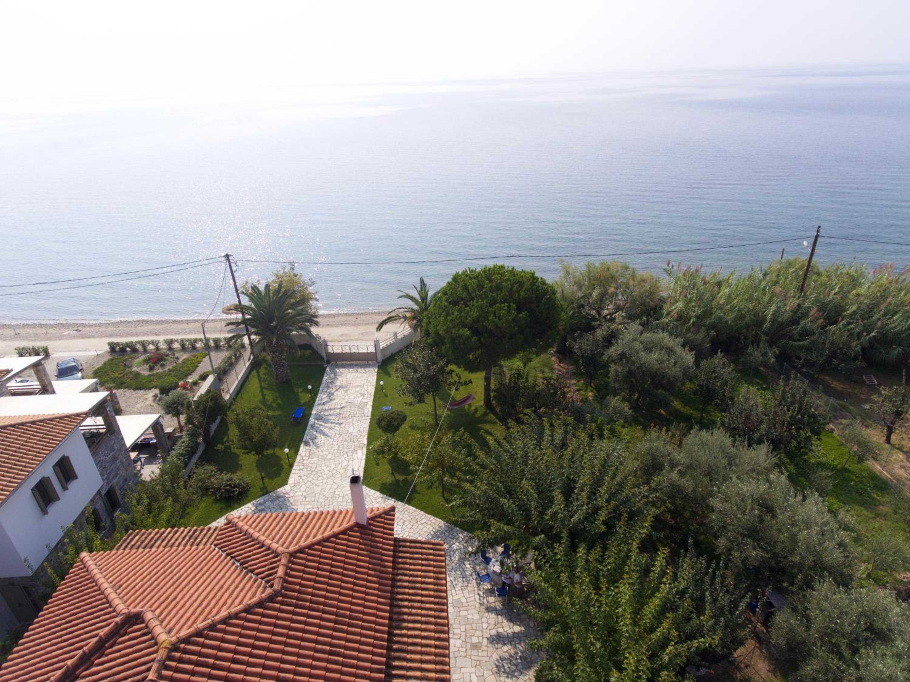 Photo 41