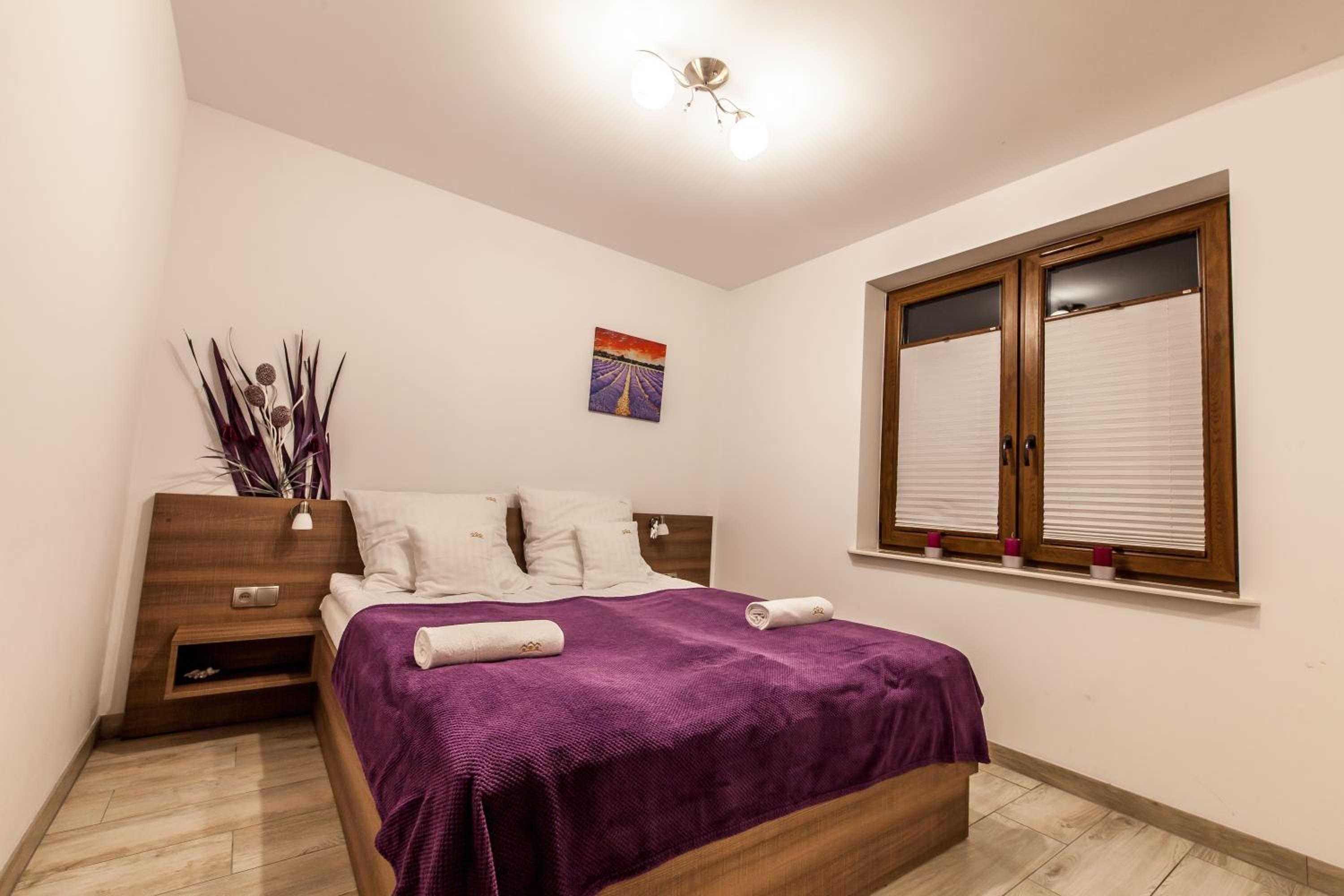 Przy Grajcarku - Apartamenty Homole view 3