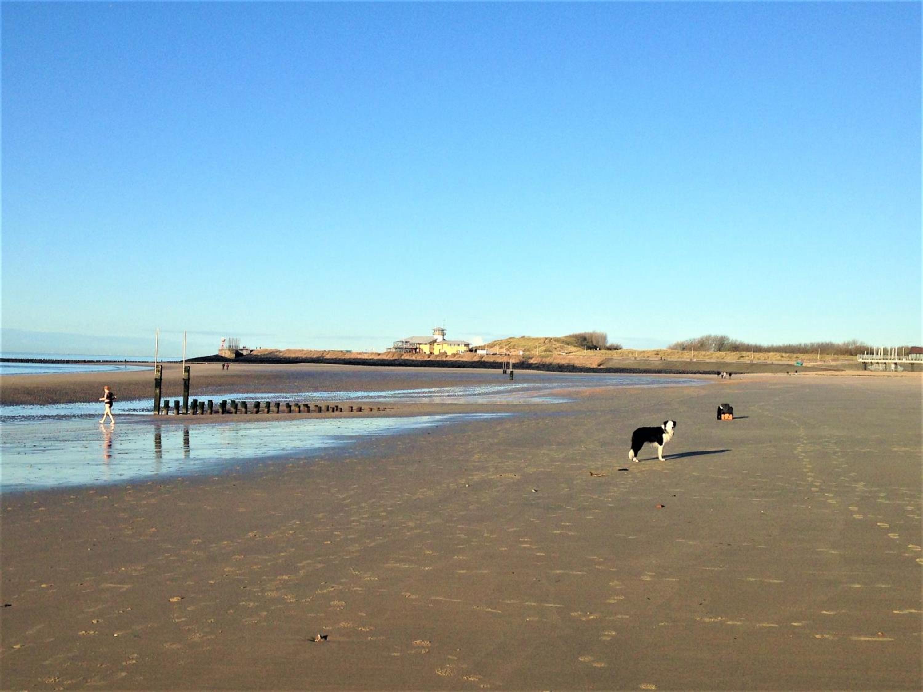 Westerschelde B&B