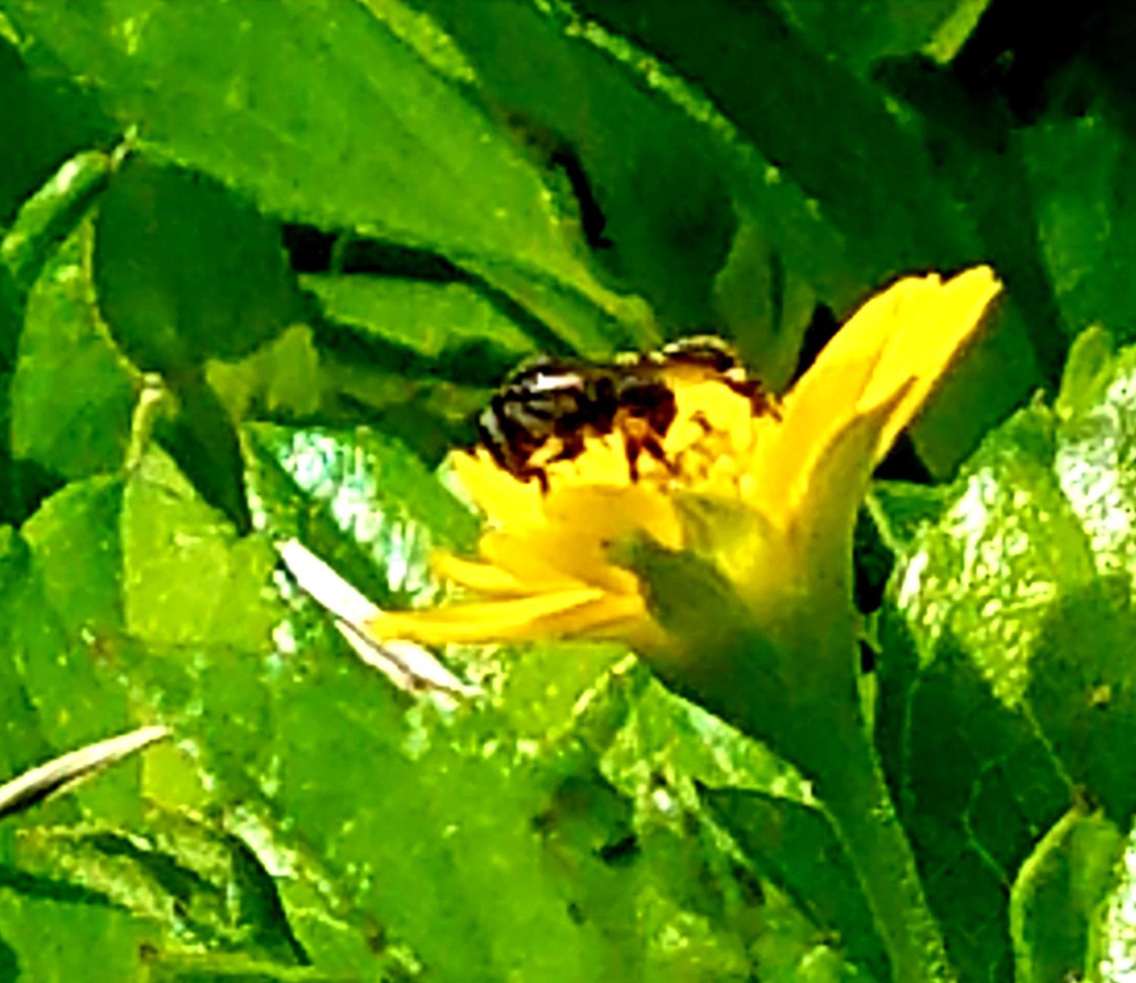 Photo 28