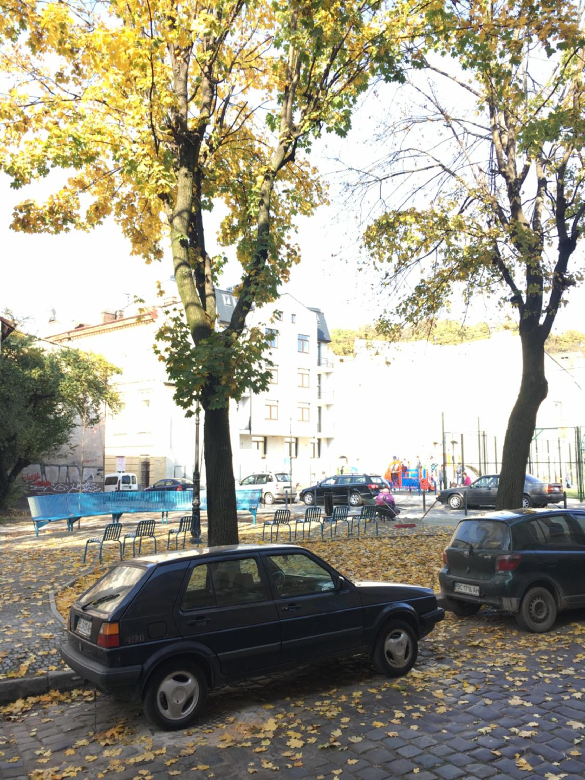 Photo 29