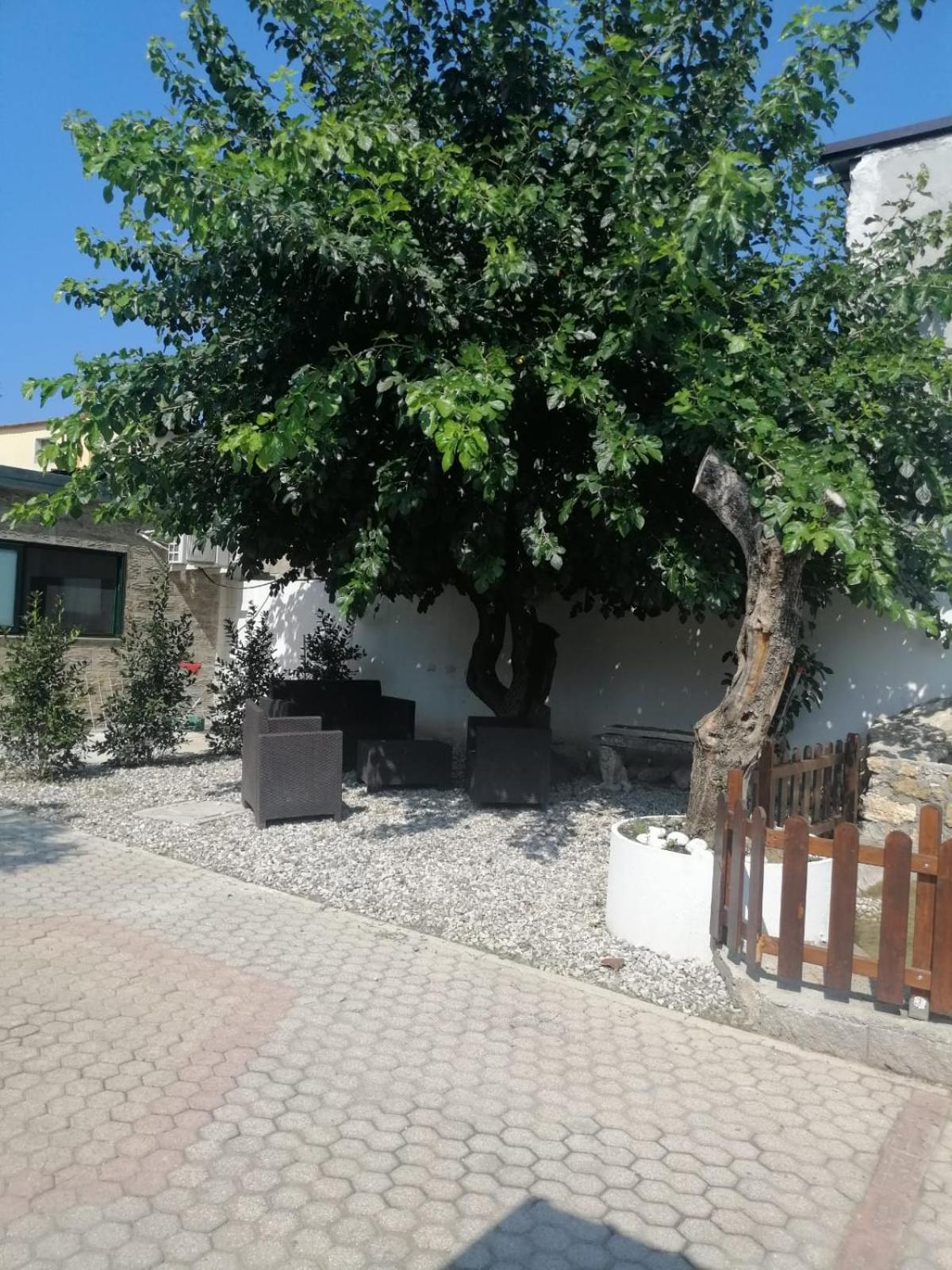Oasi Erika