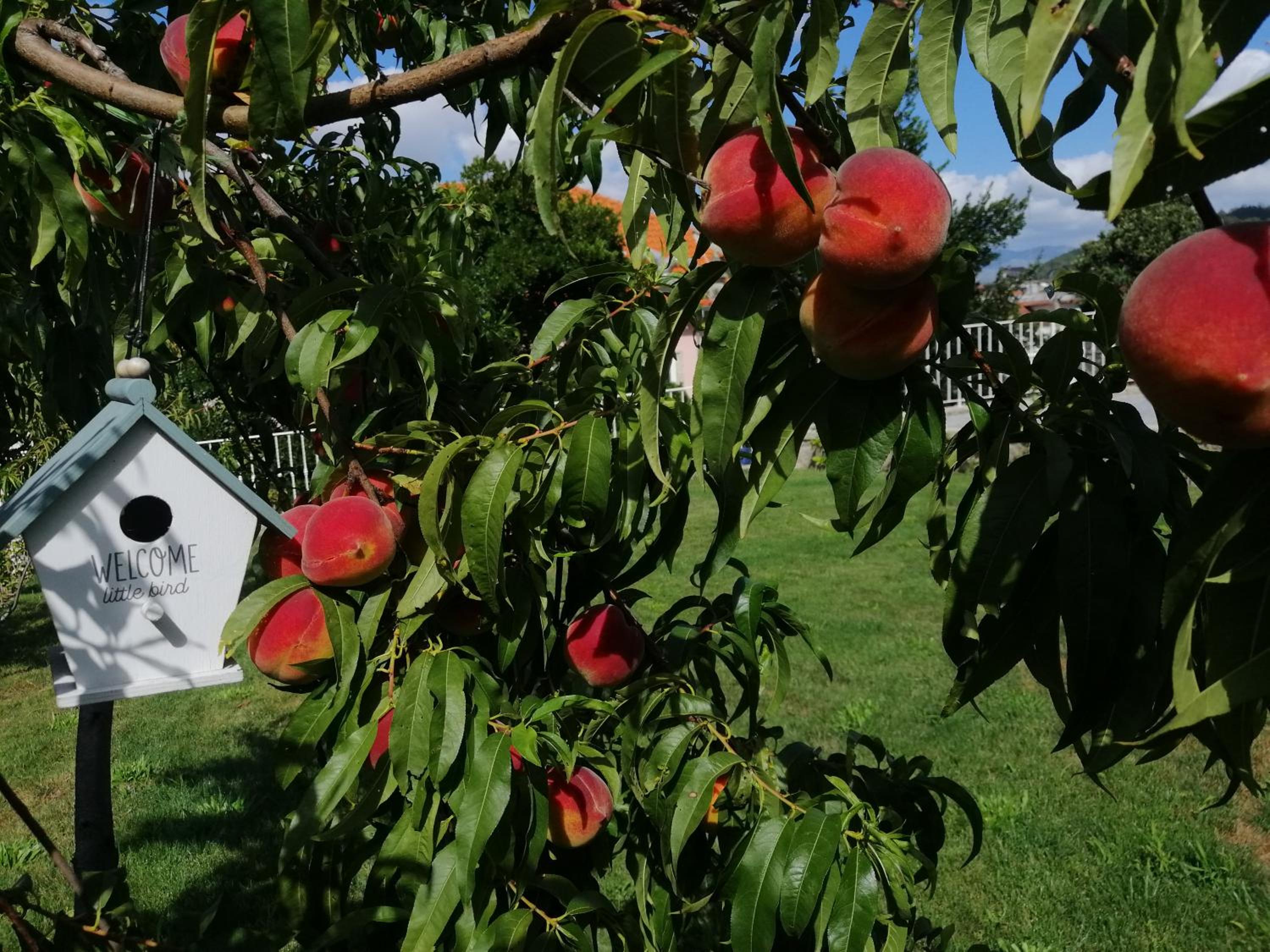 Photo 22