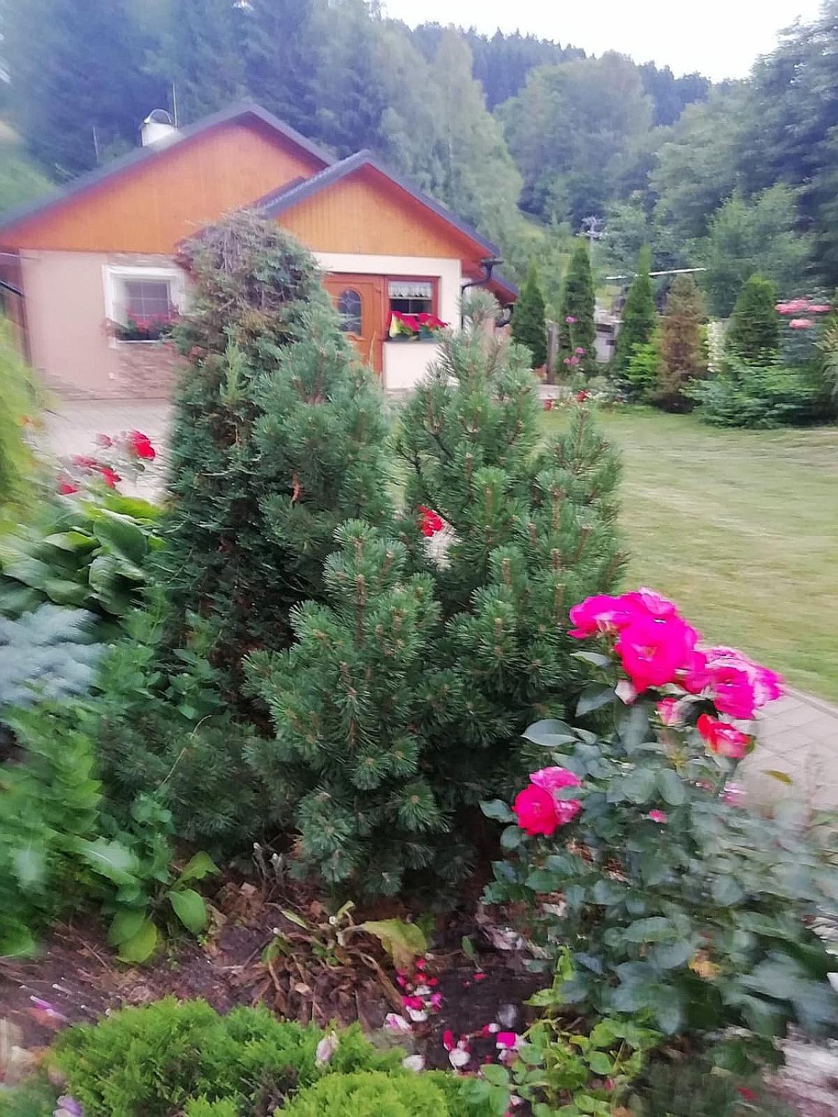 Photo 55