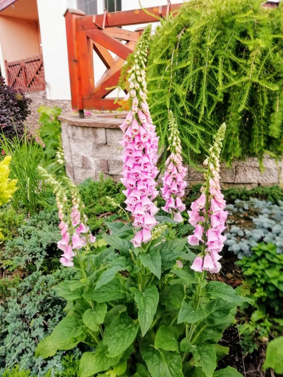 Photo 28