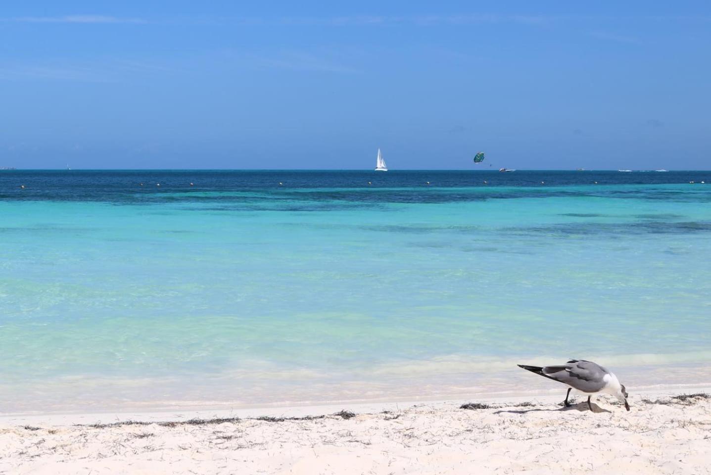 Seáak Cancun Rentals