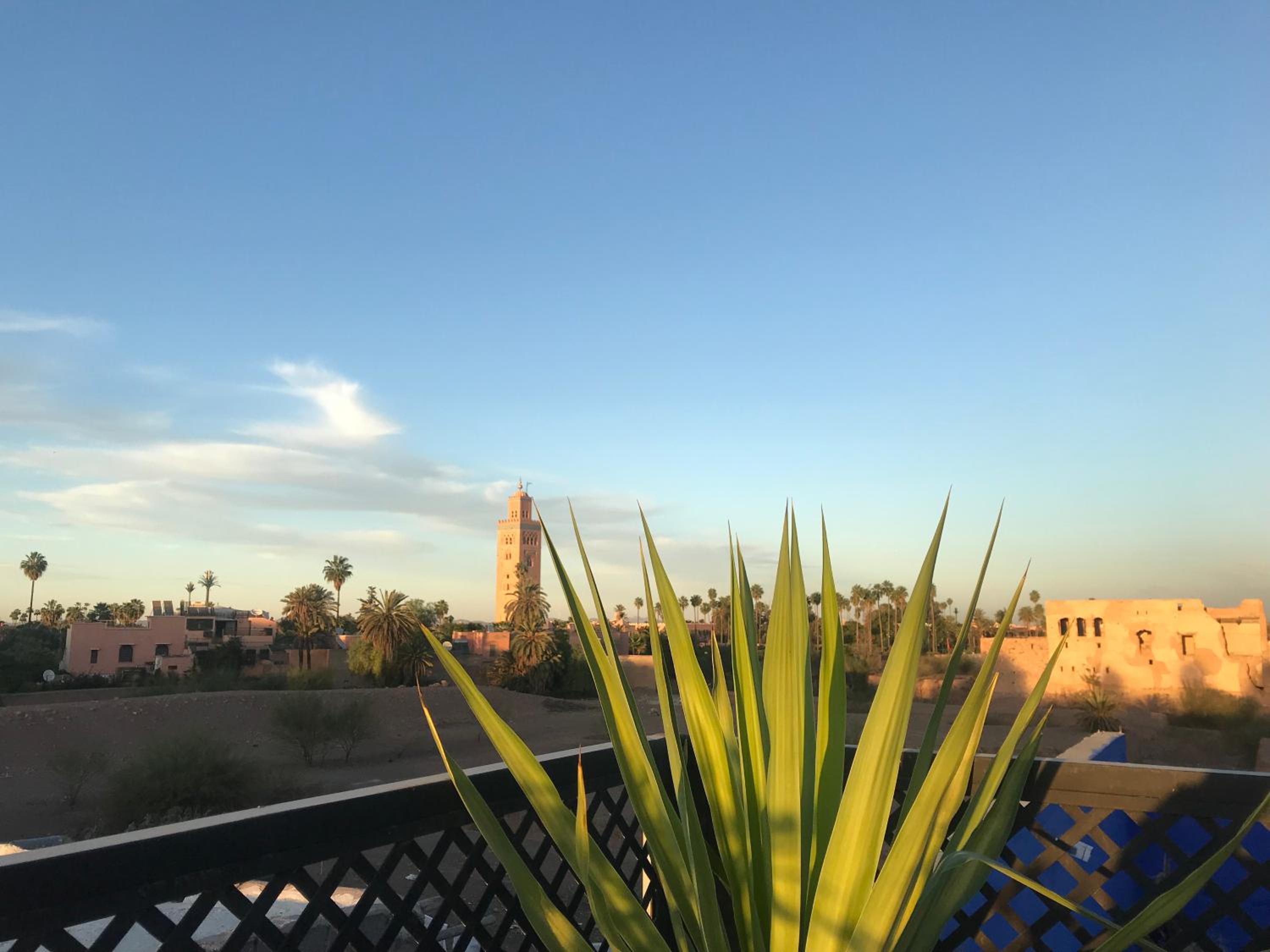 roof