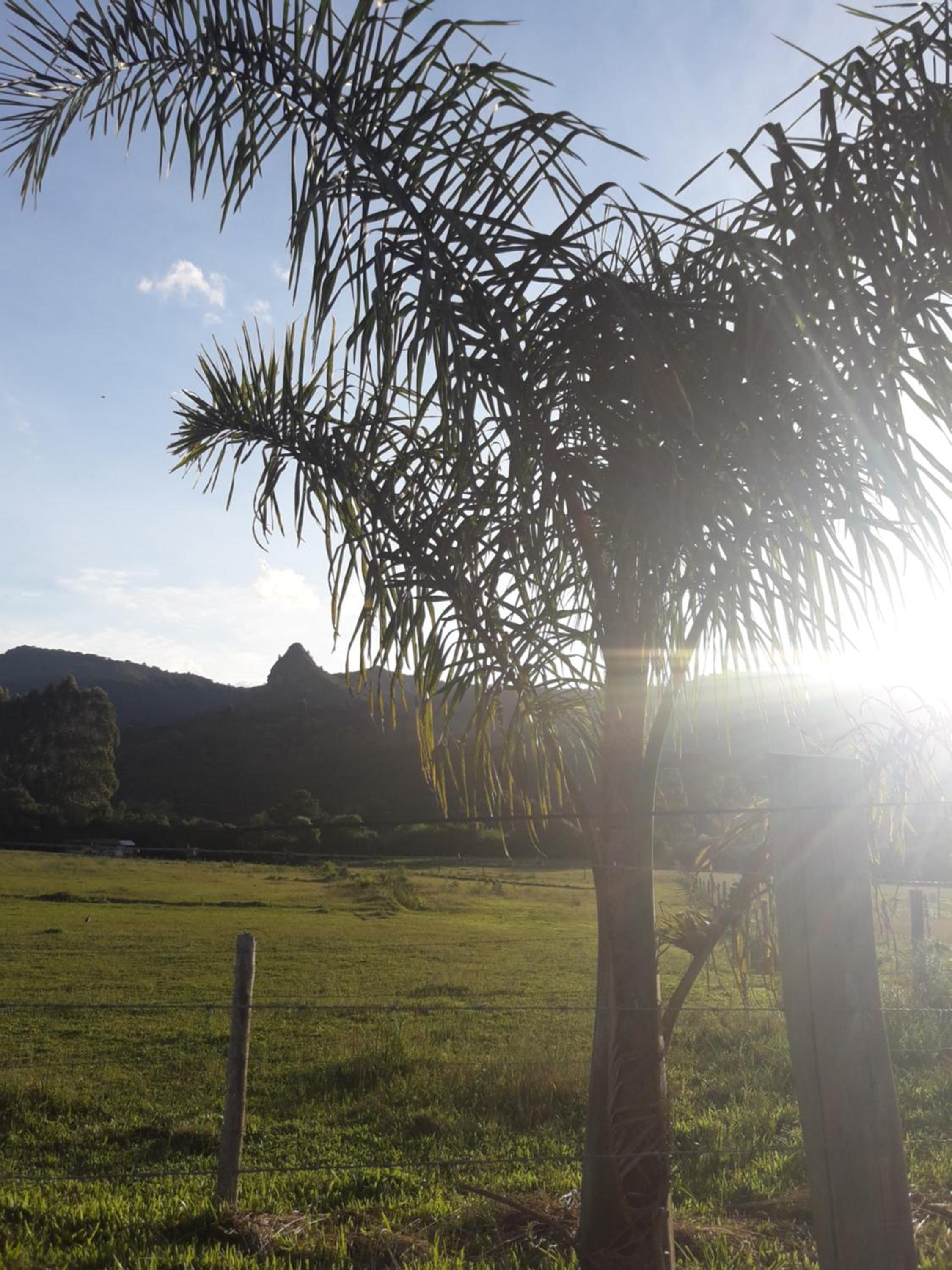 Casa de Temporada Sítio Viva Serra