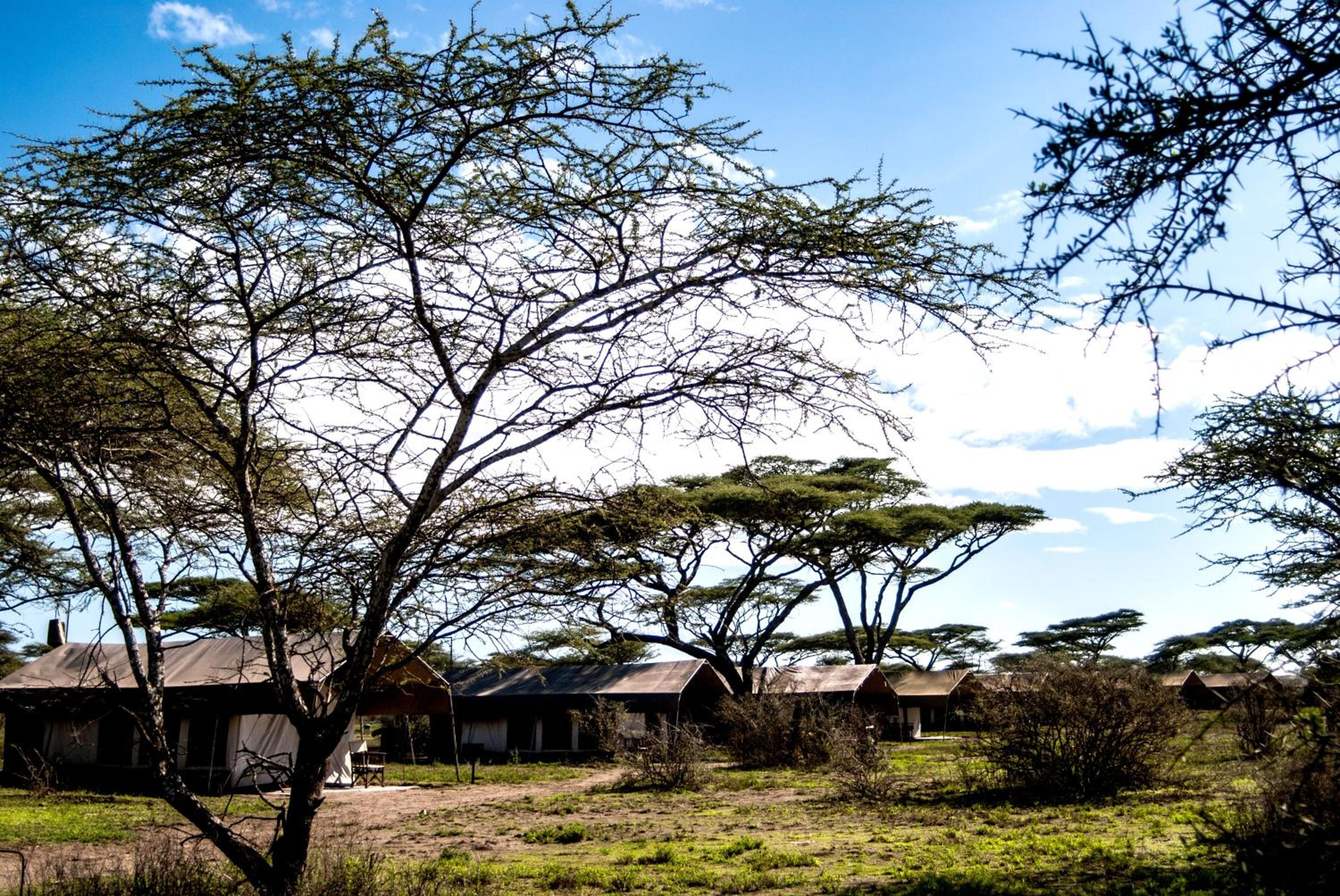Serengeti Savannah Camps view 2