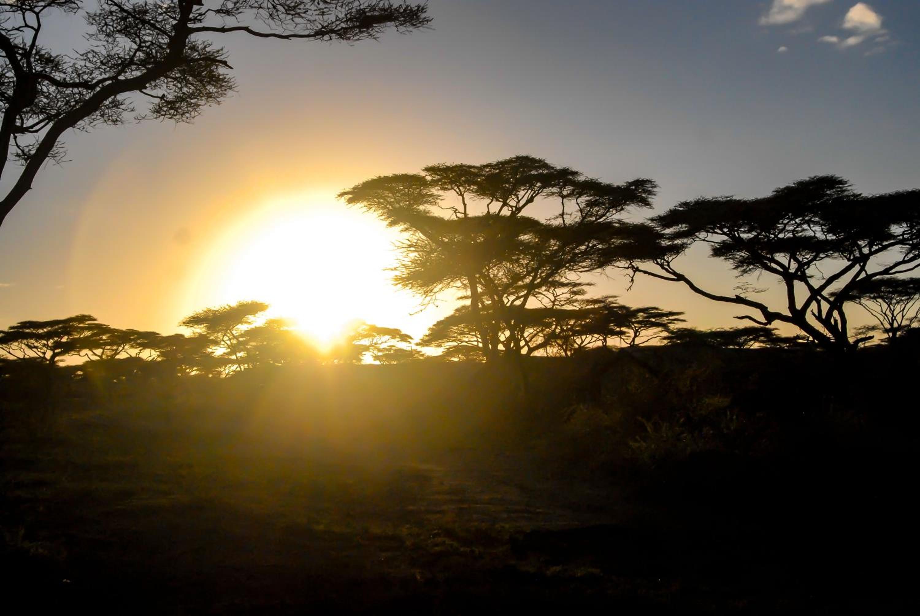 Serengeti Savannah Camps view 5