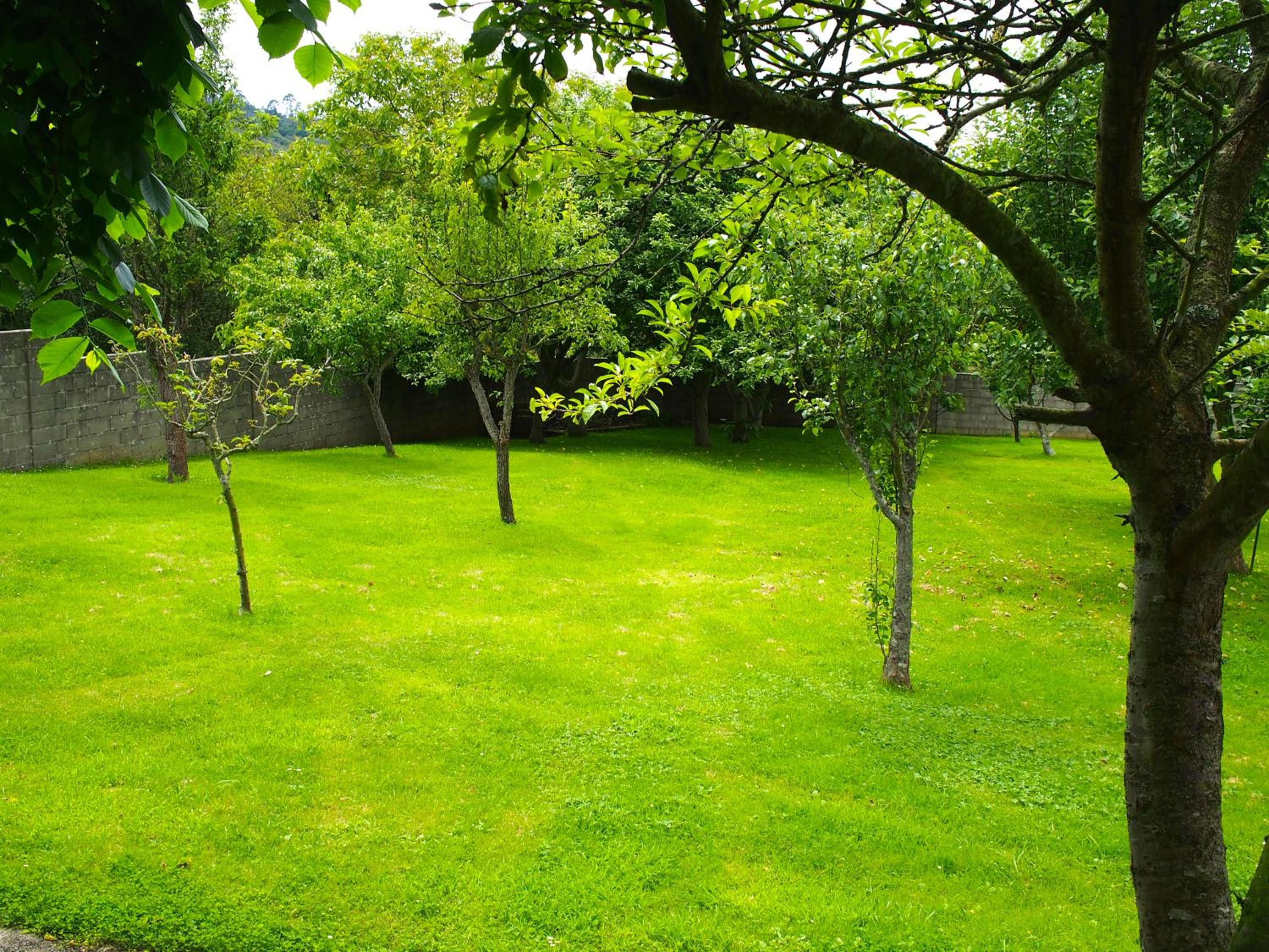 Casa Camelia
