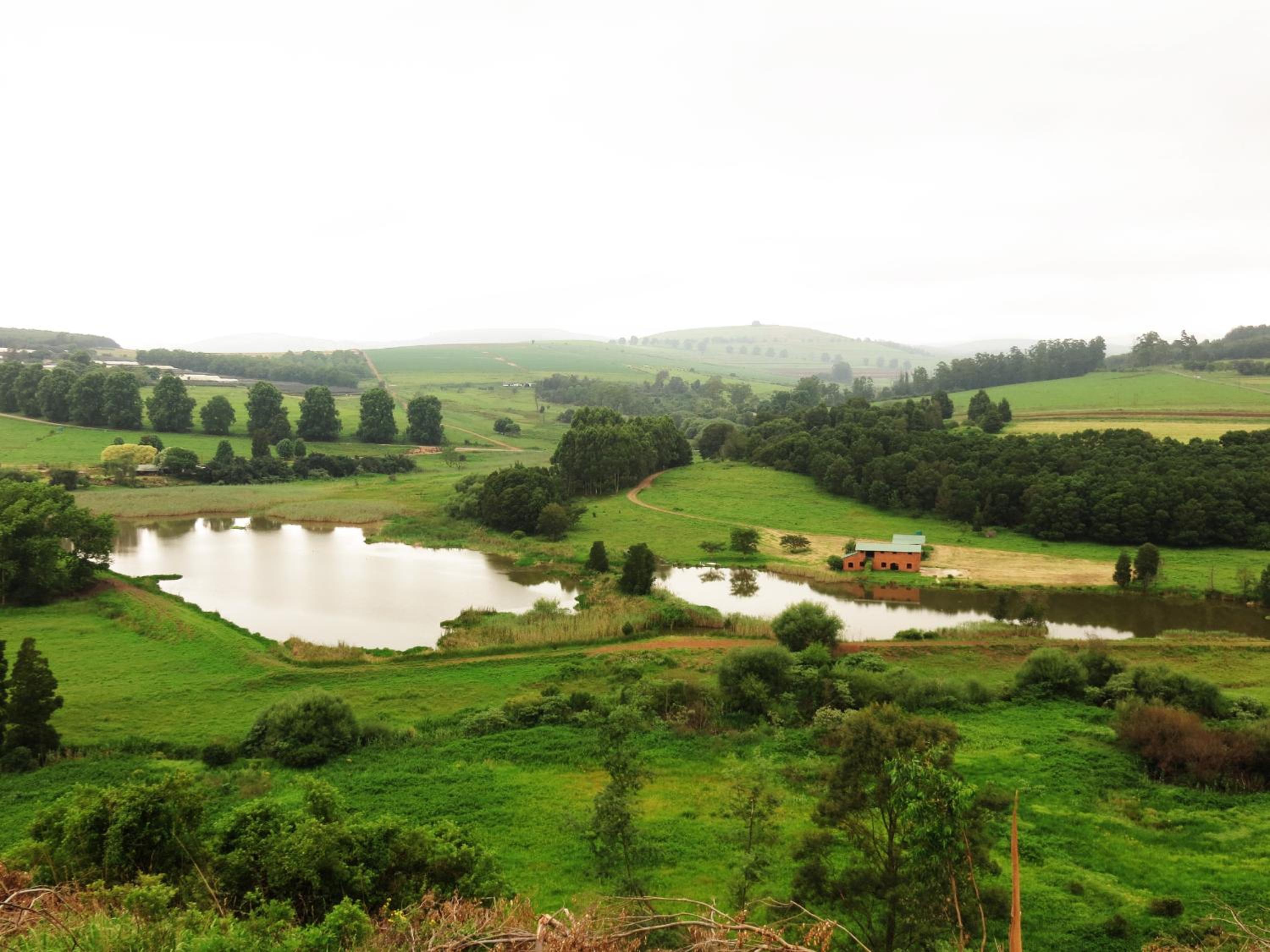 Kings Grant Country Retreat view 5
