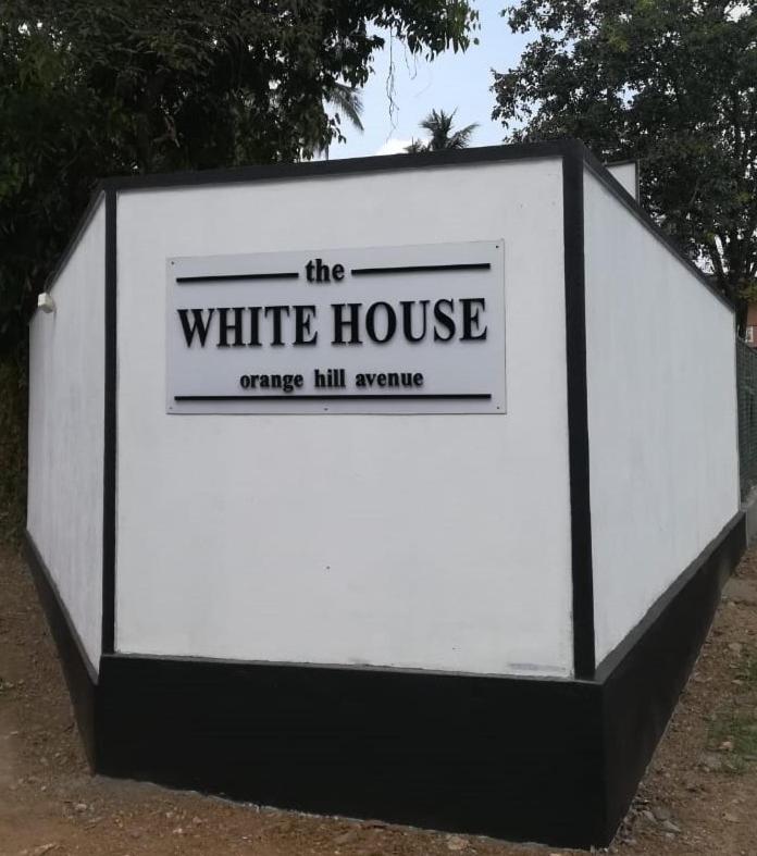 White House - Orange Hill Avenue view 3