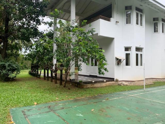 White House - Orange Hill Avenue view 5