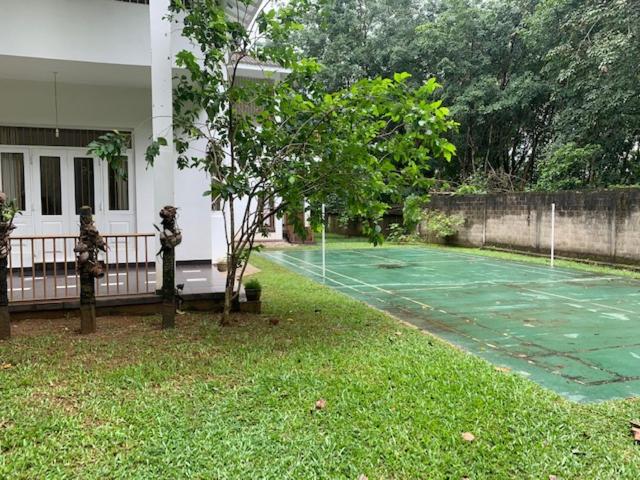 Photo 7
