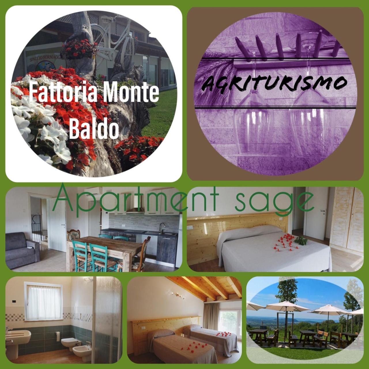 Agriturismo Fattoria Monte Baldo VISTA LAGO view 5