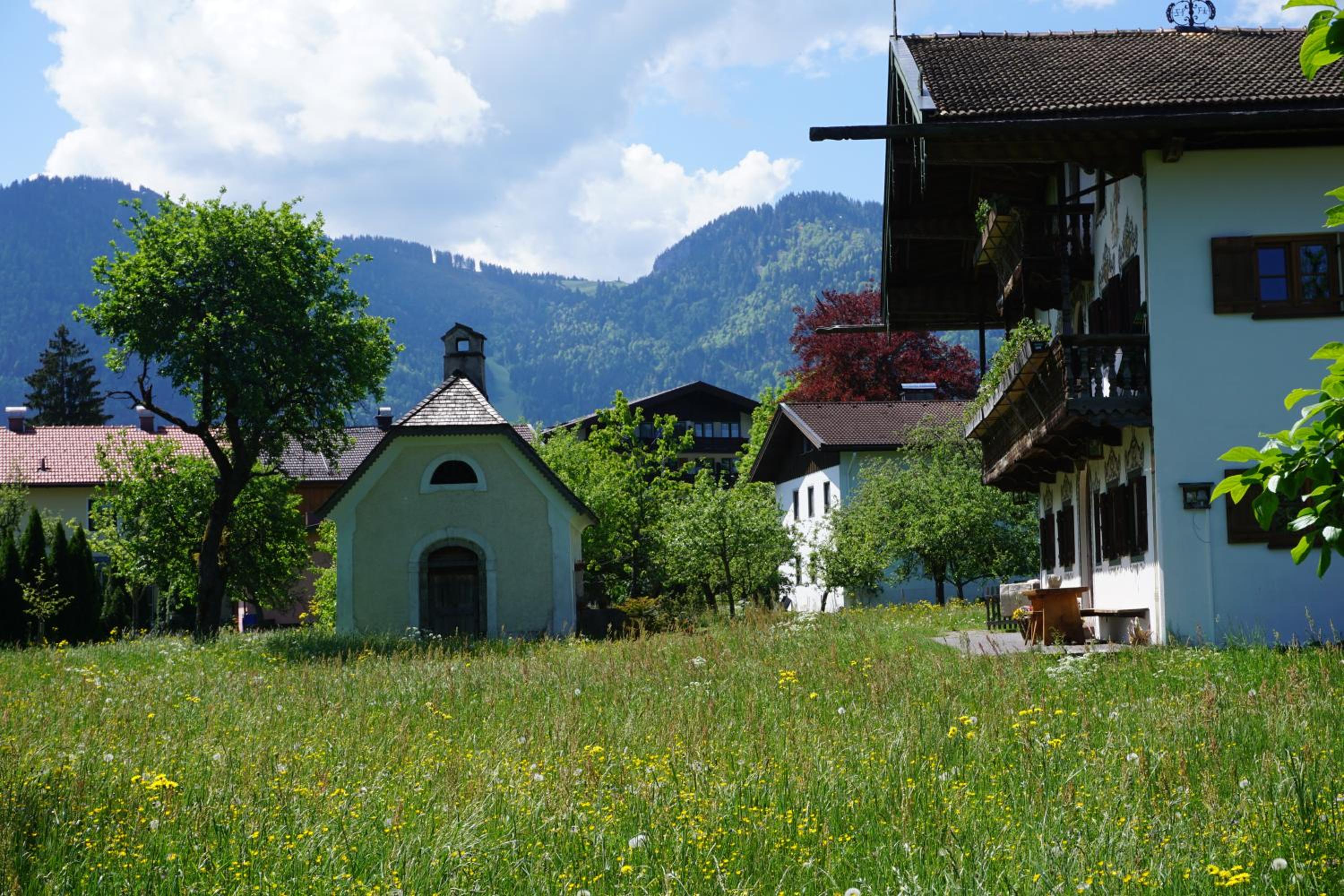 Photo 23