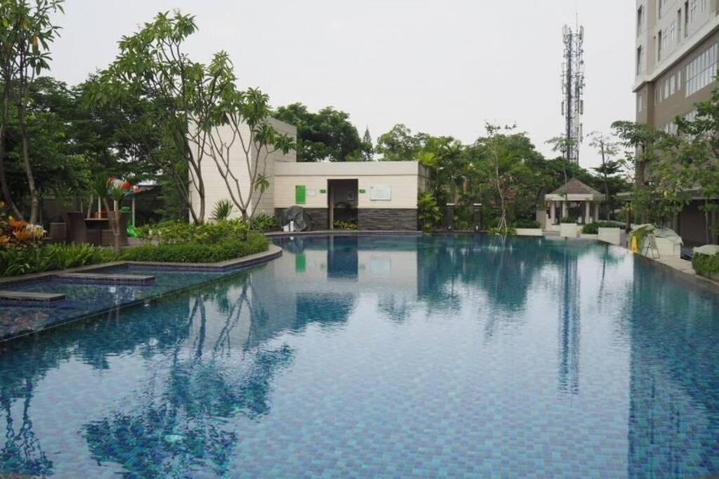 1 BR Apartment near Central Park Mall (Madison Park) view 4