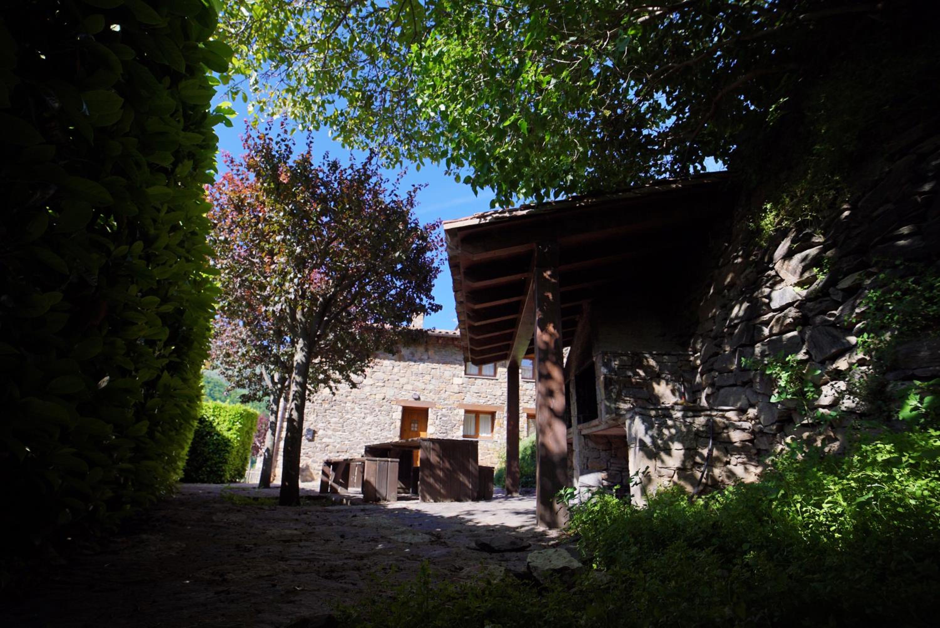 Photo 41