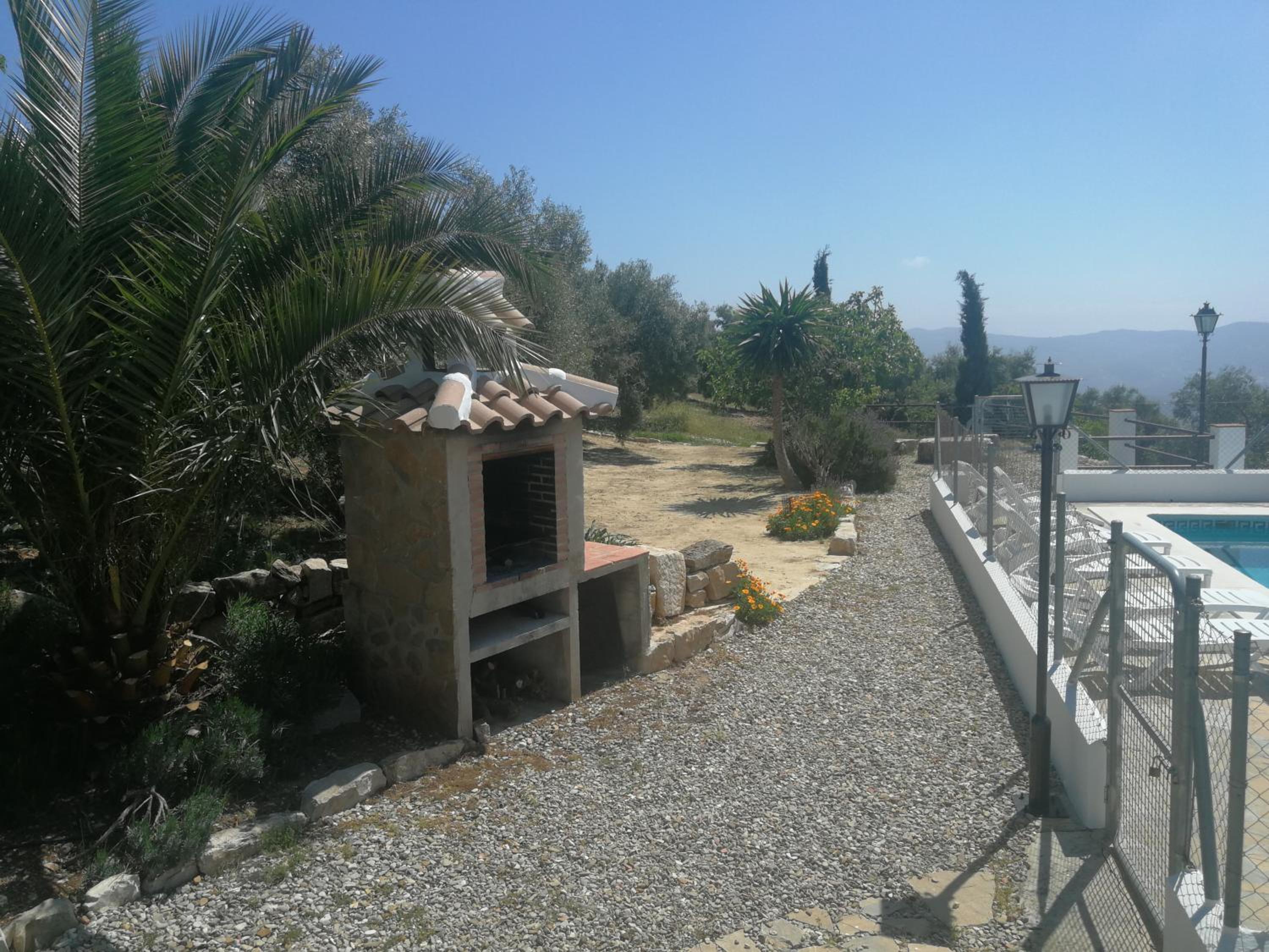 Photo 17
