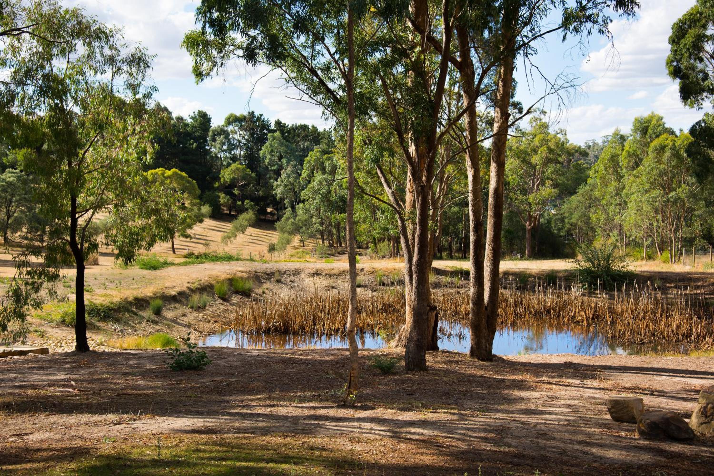 Kurrajong Retreat view 5