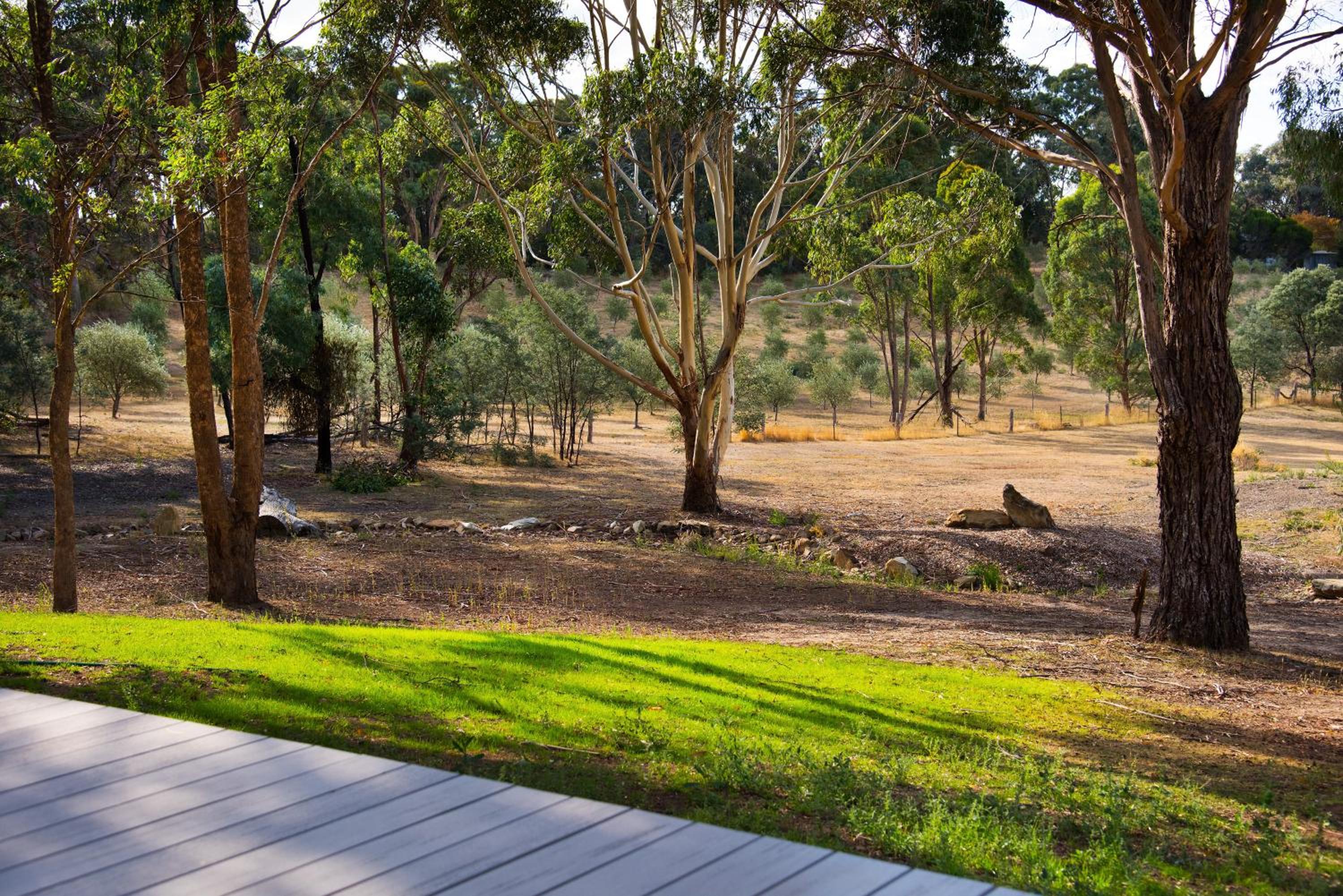 Kurrajong Retreat view 4