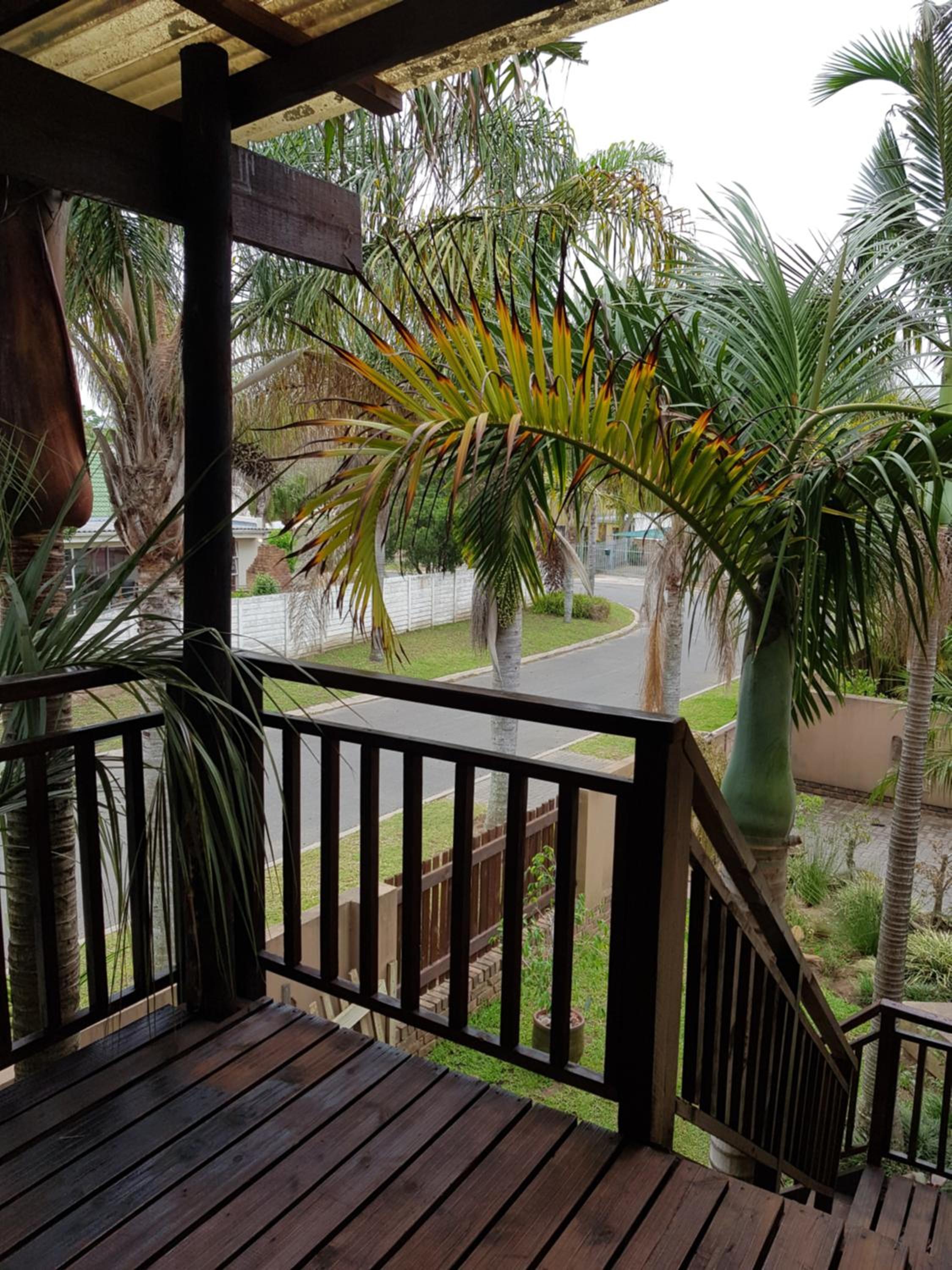 Paradise Flycatcher Accomodation view 4