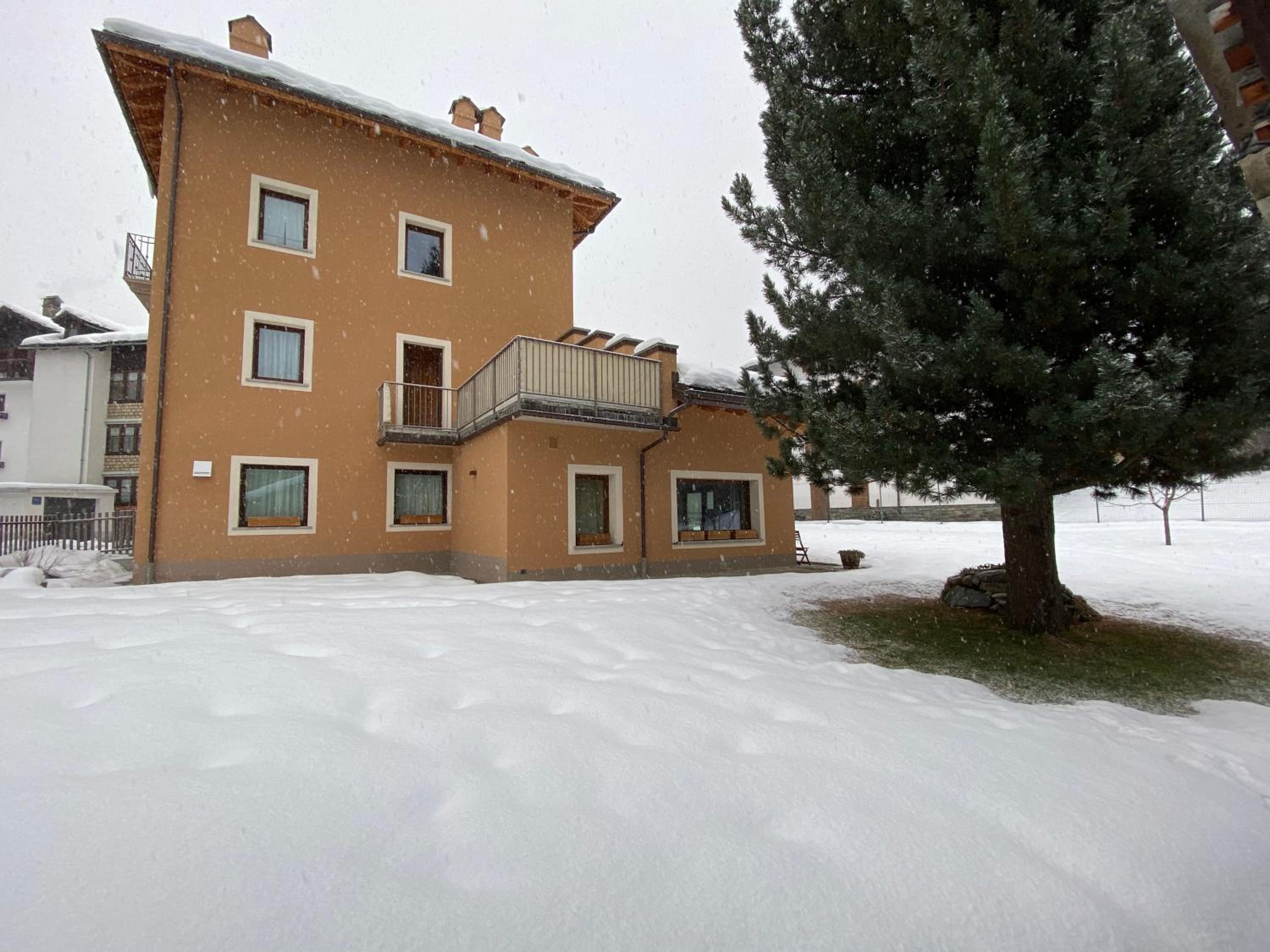 Photo 8