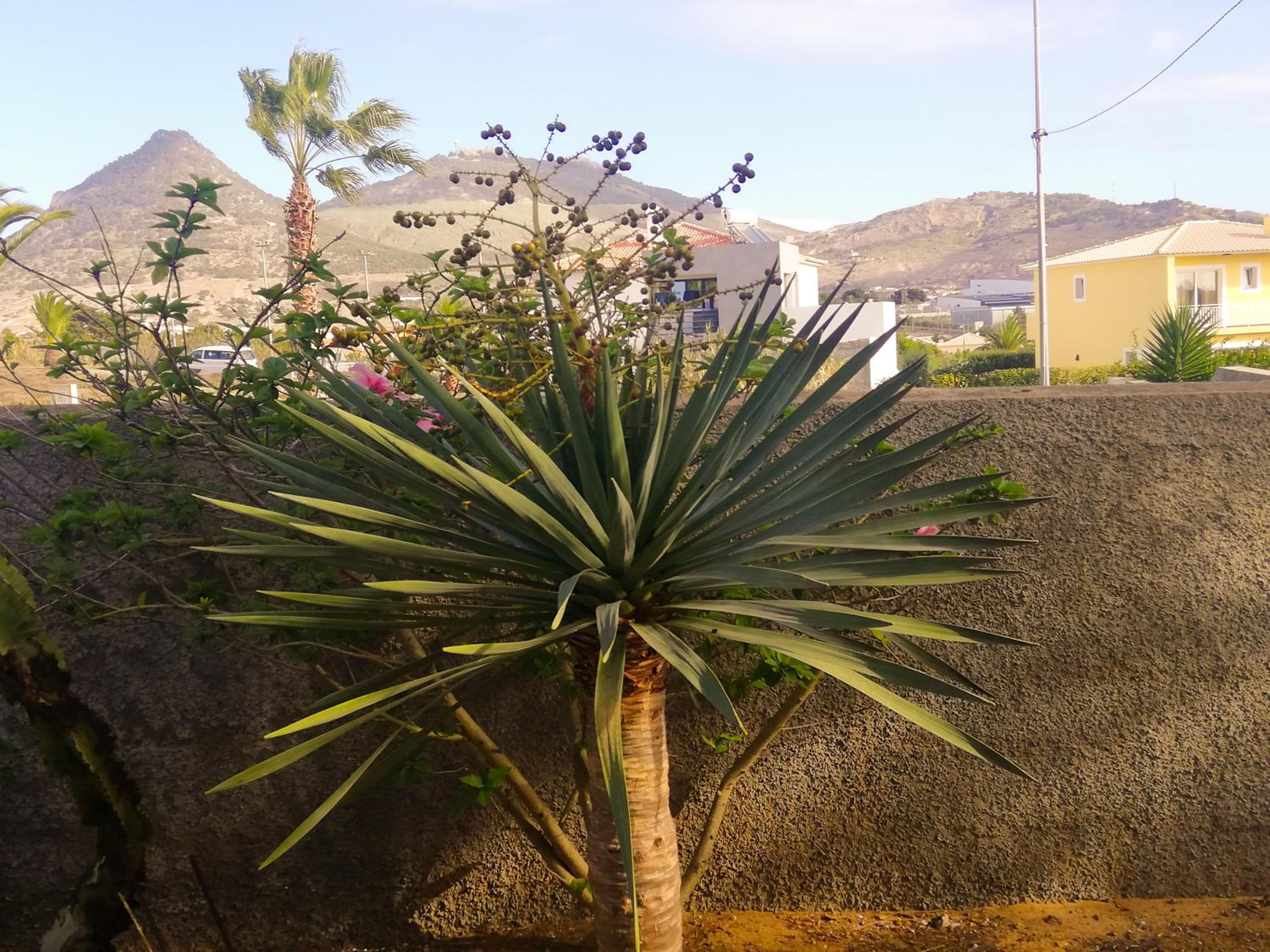 Photo 45