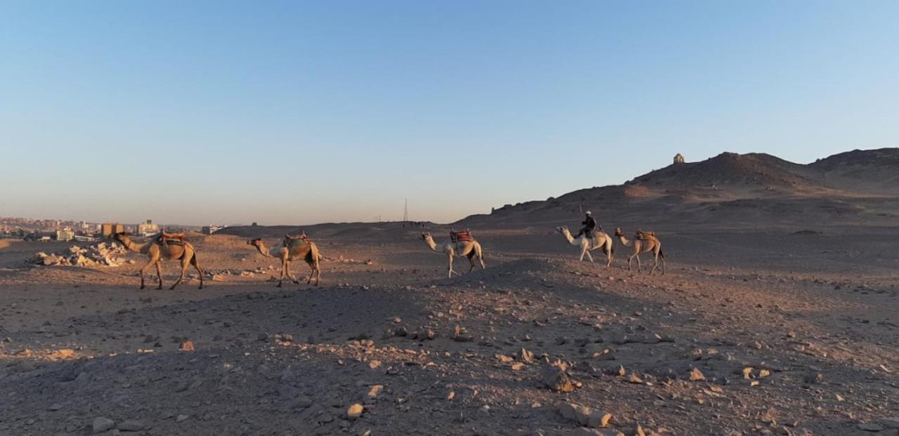 Habibi Nubian Guest House-Nubian Hospitality