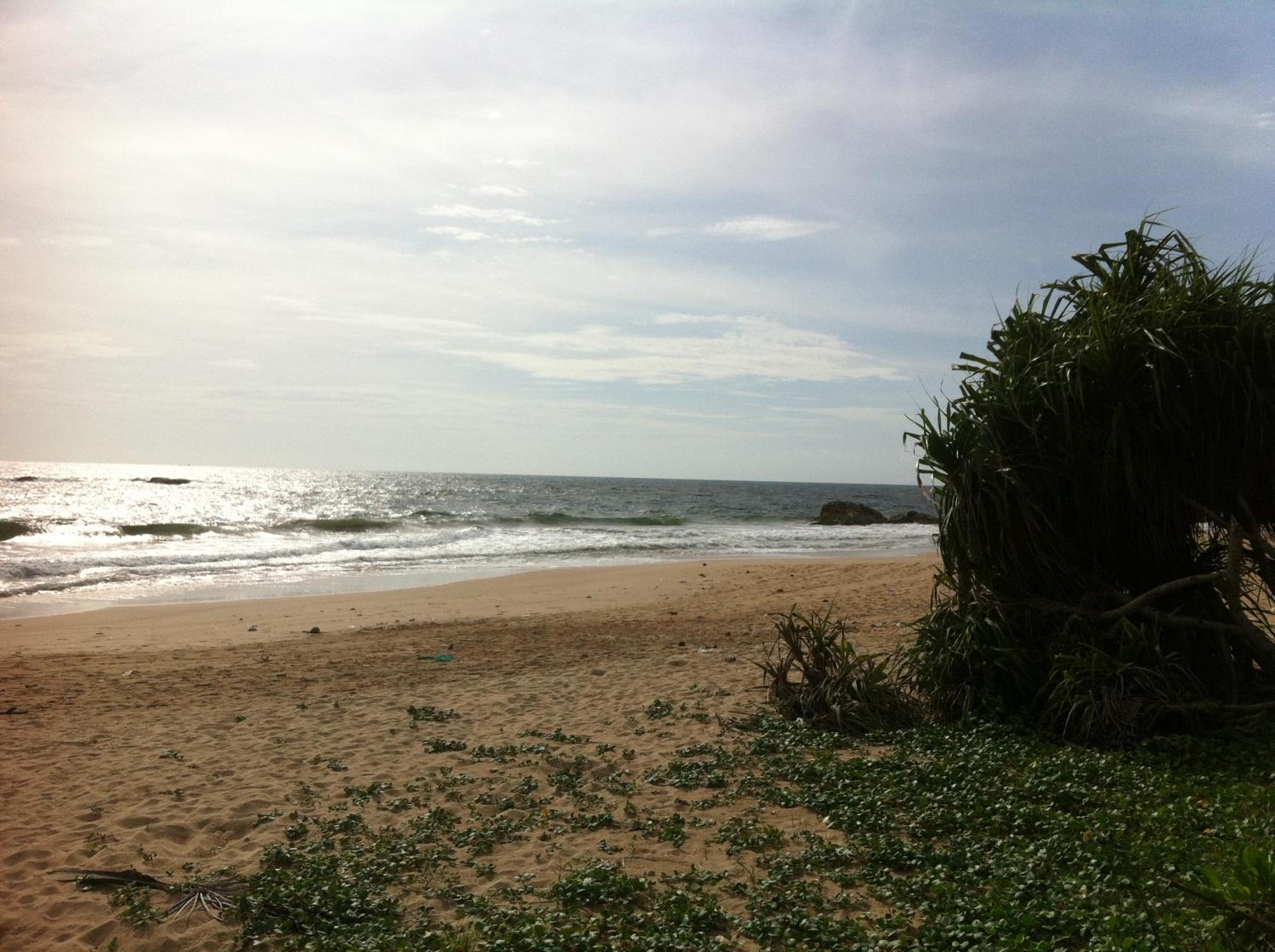 Photo 24
