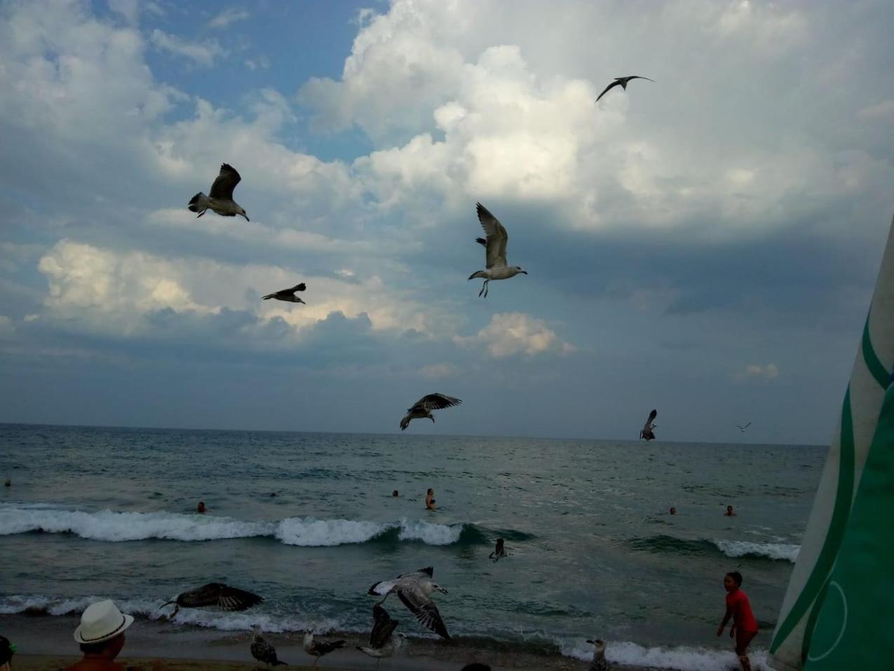 Photo 201