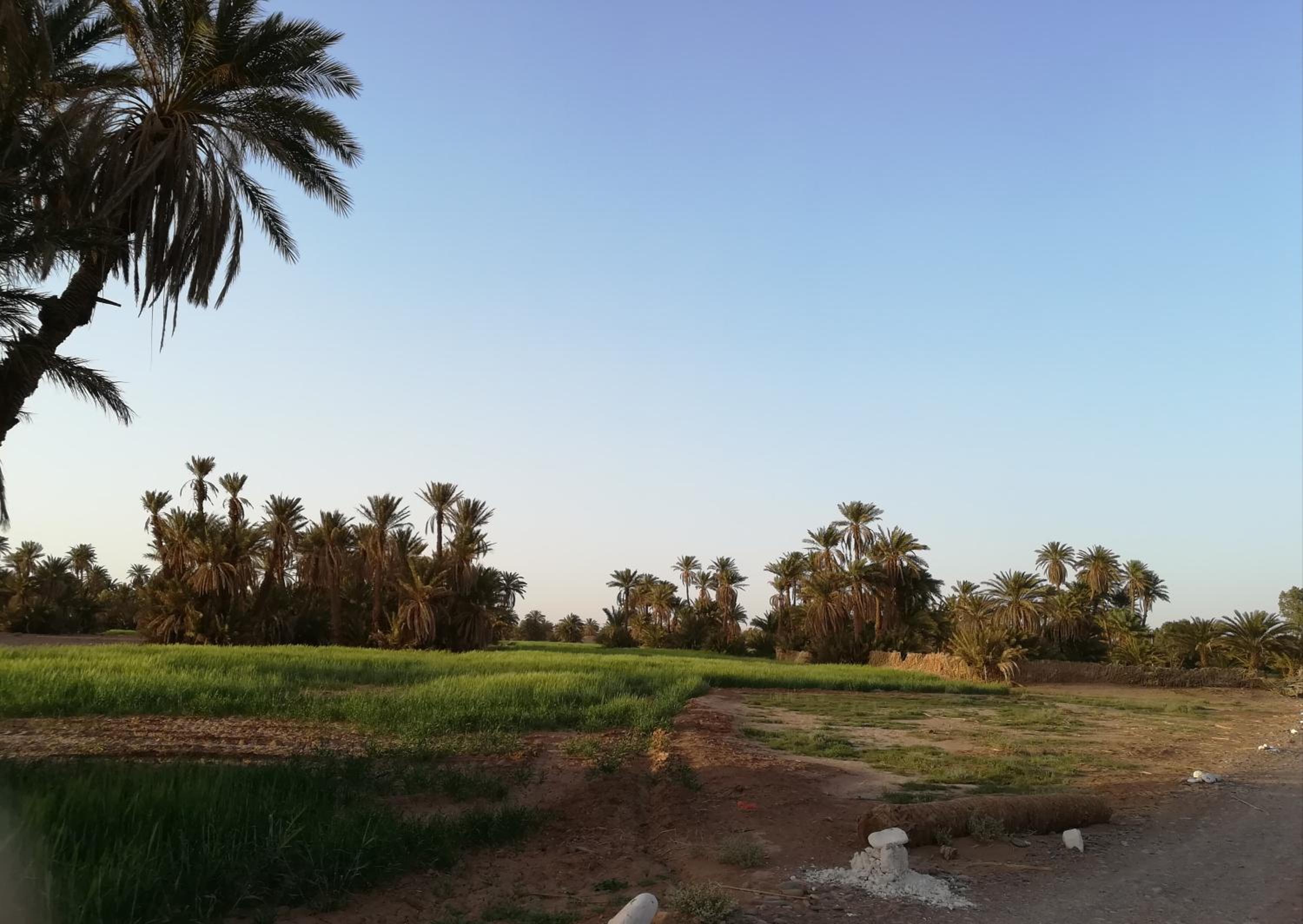 Kasbah Les Alizes Du Desert