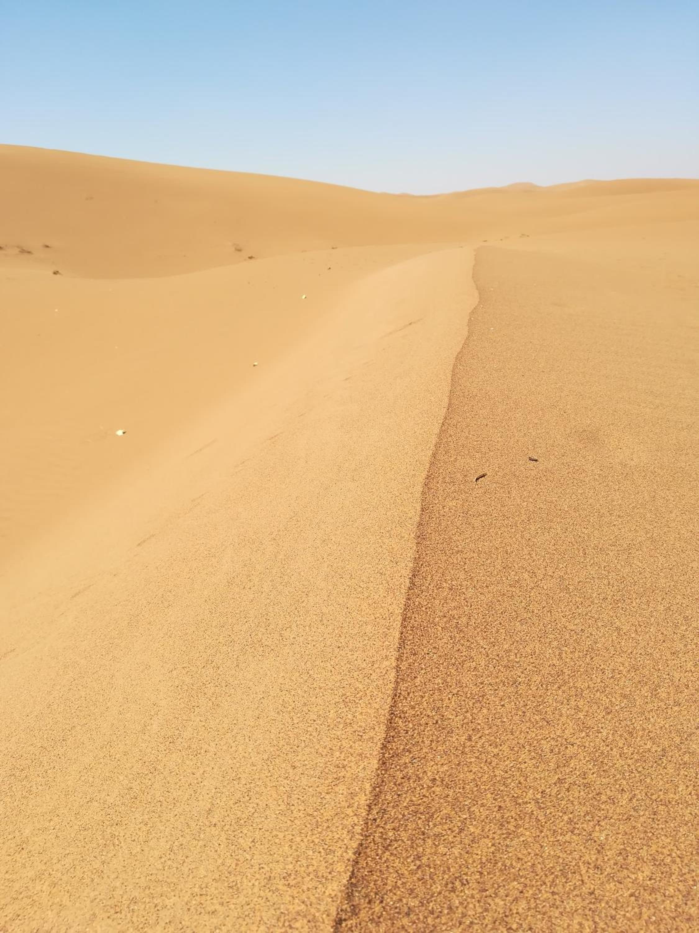 Kasbah Les Alizes Du Desert