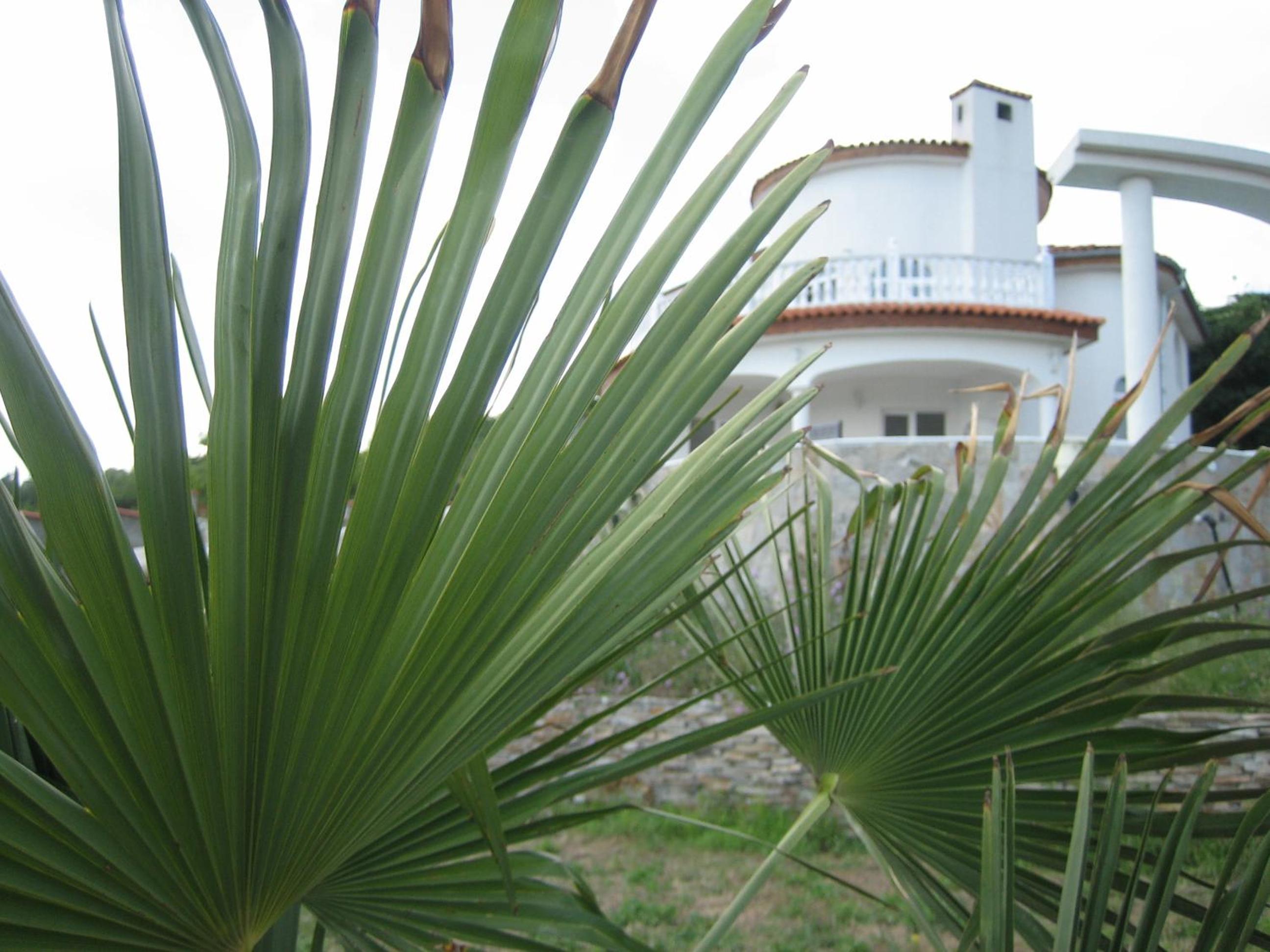 Photo 48