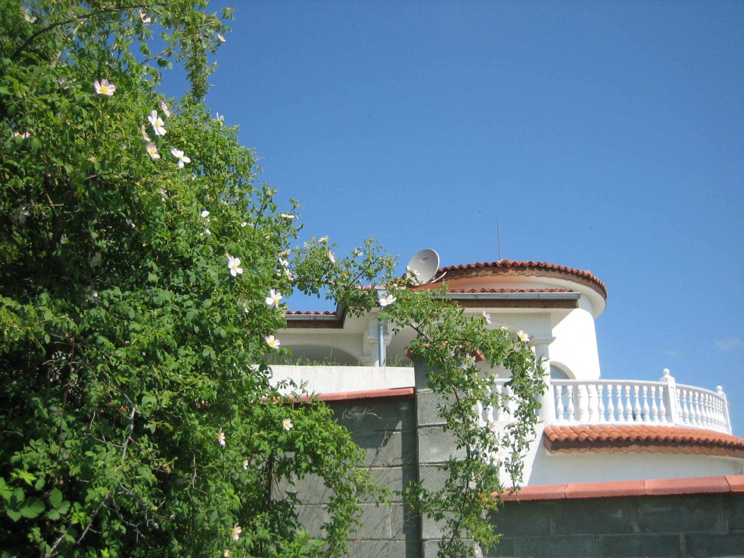 Photo 36