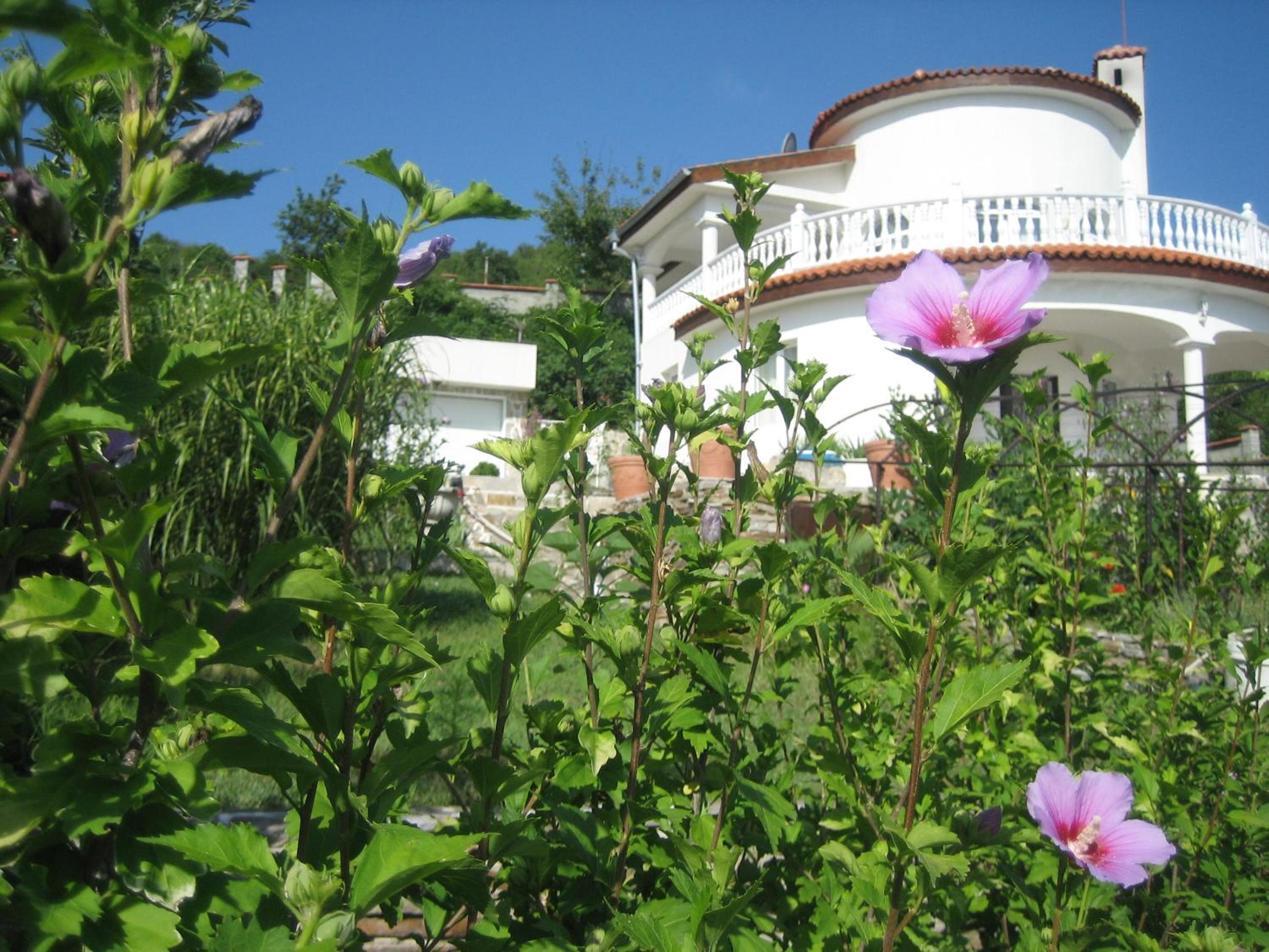 Photo 27