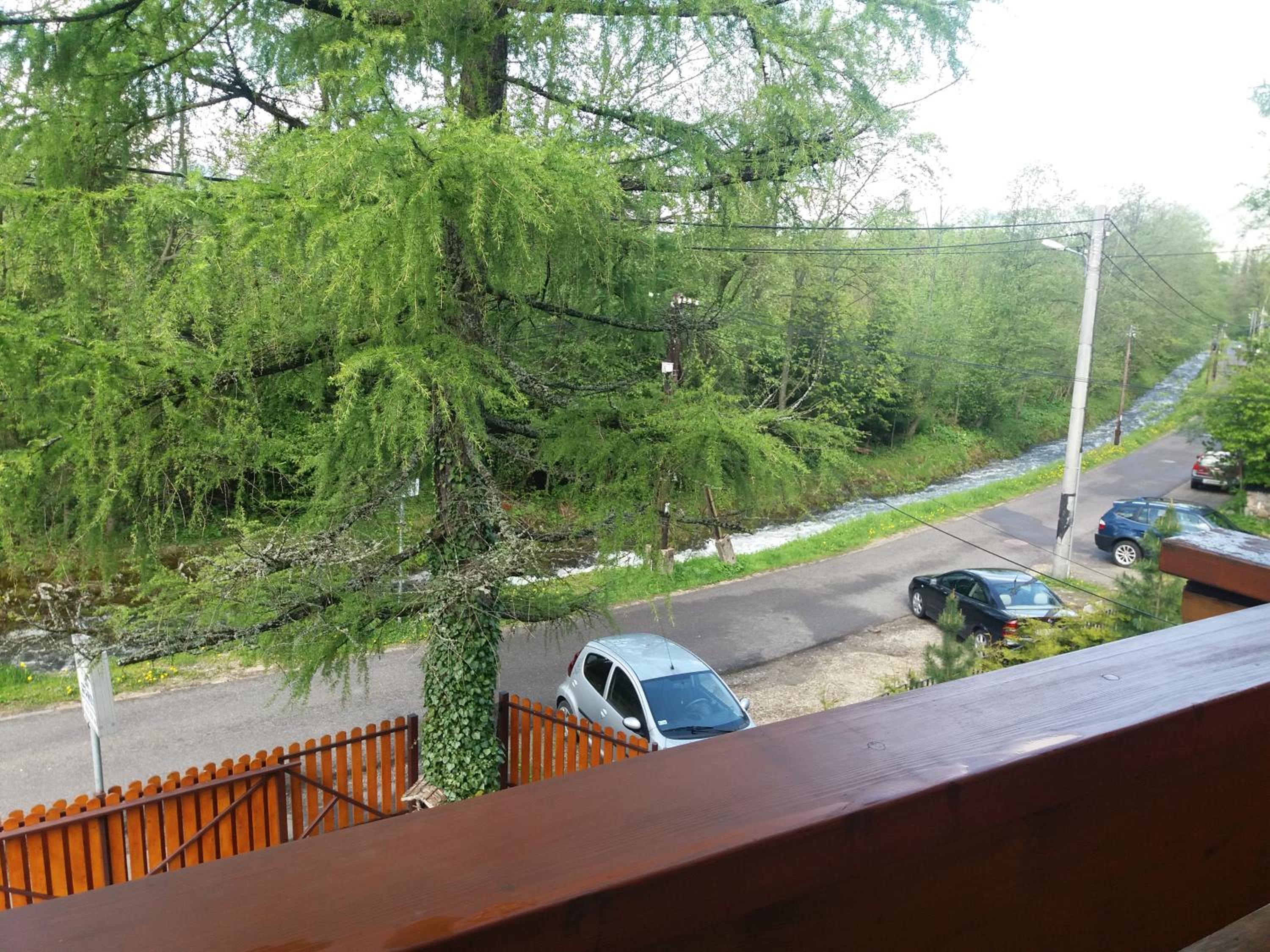 Photo 40