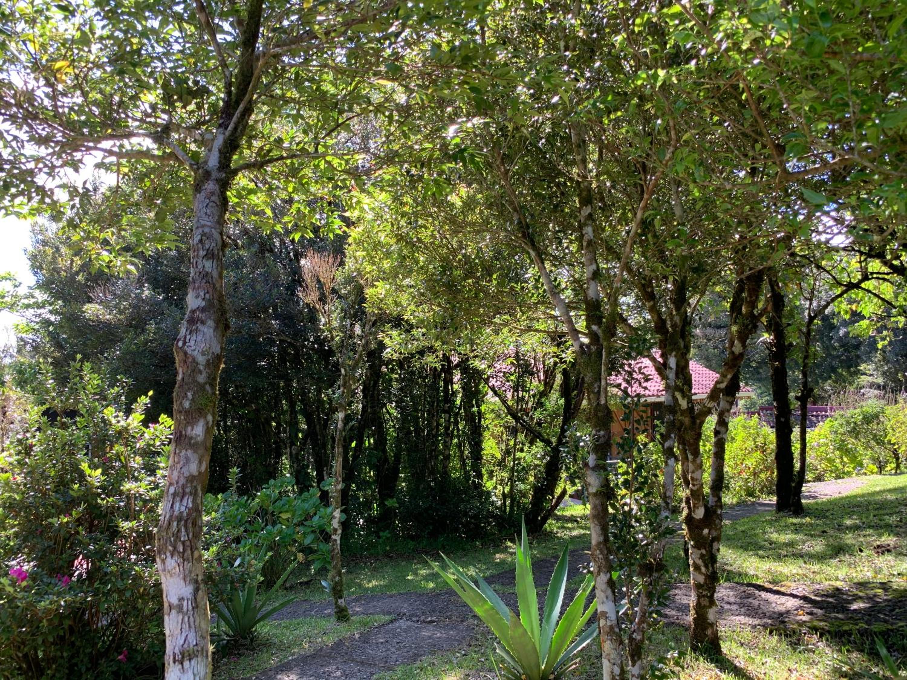 Rancho Makena