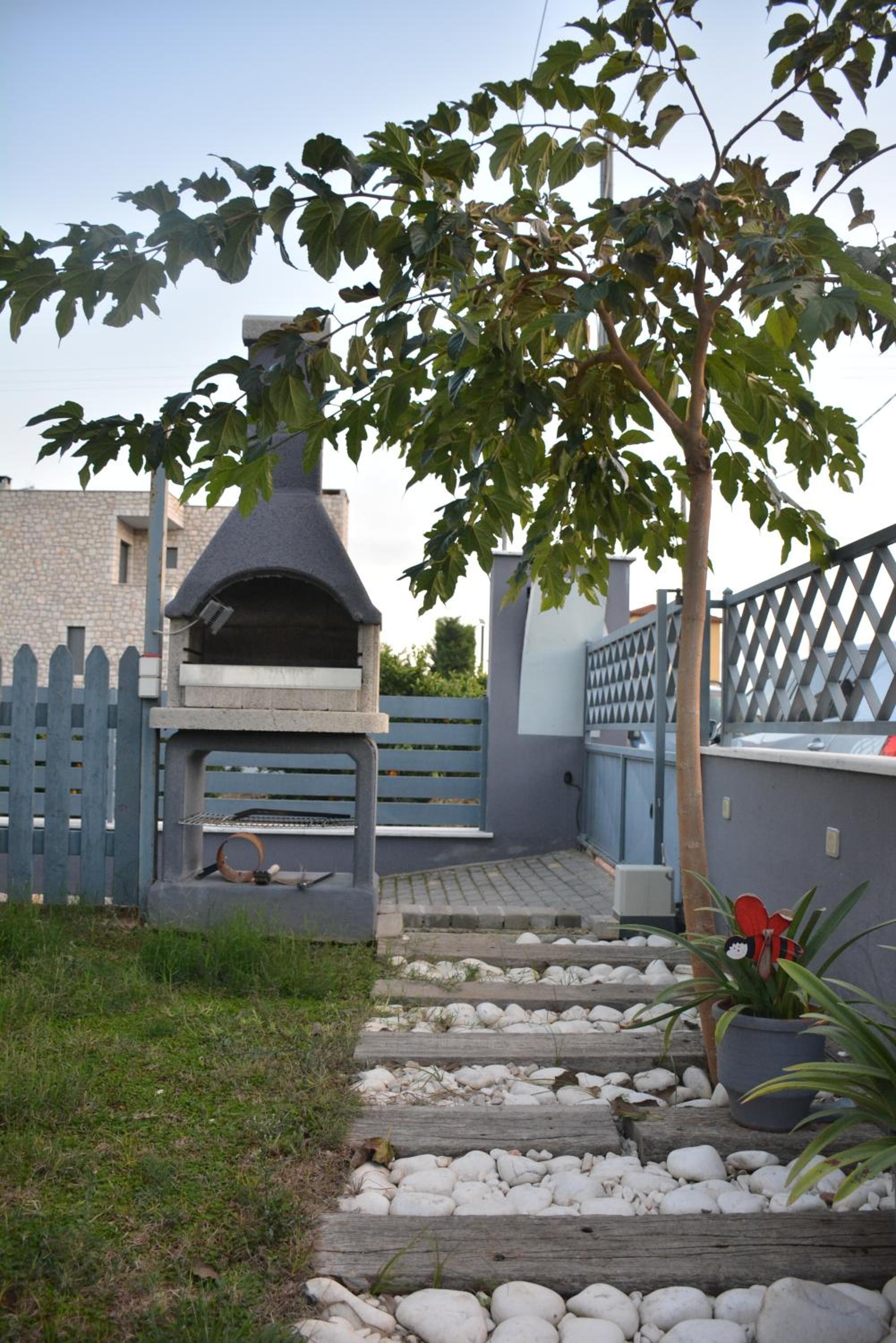 Photo 41