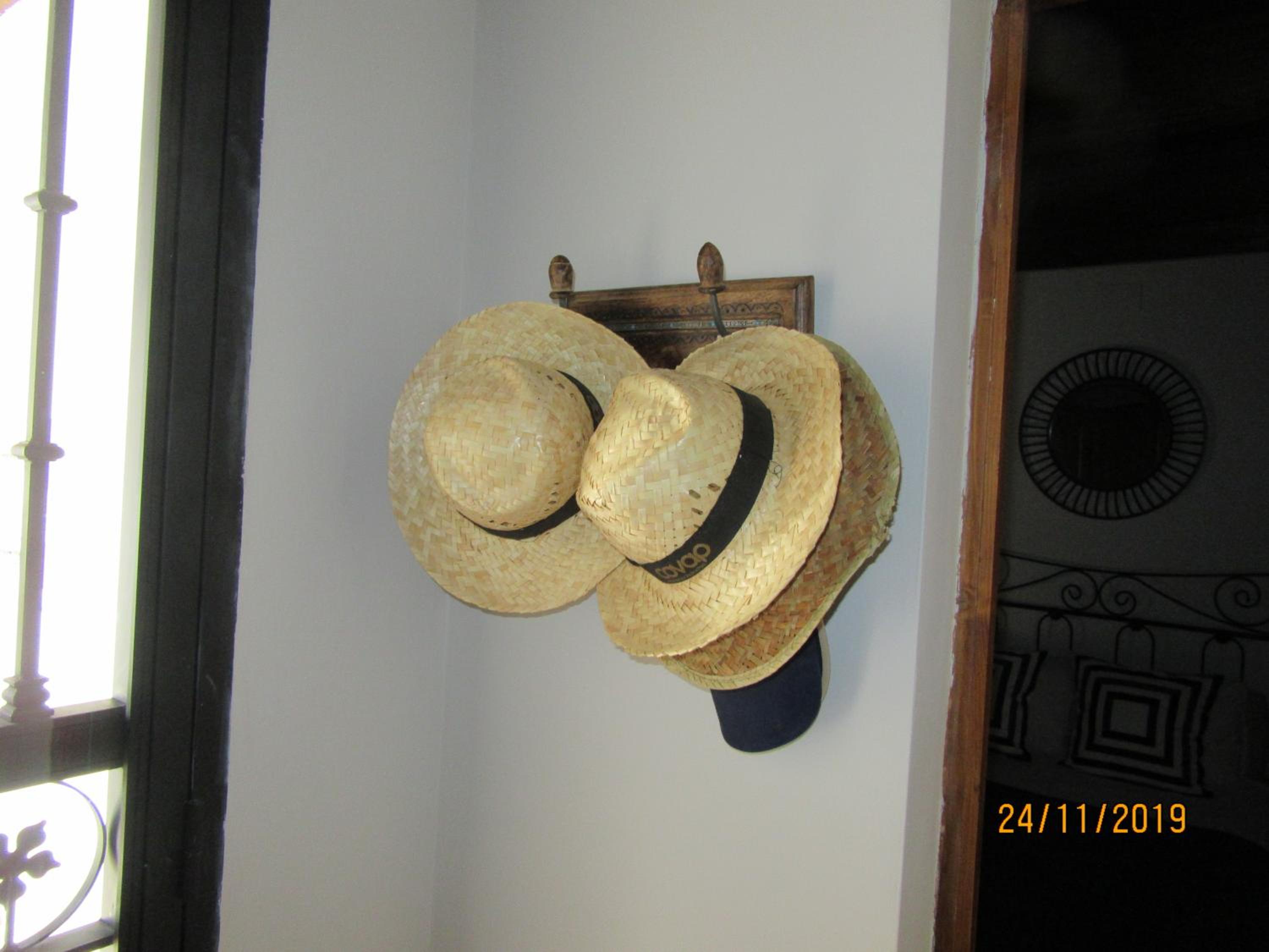 Photo 42