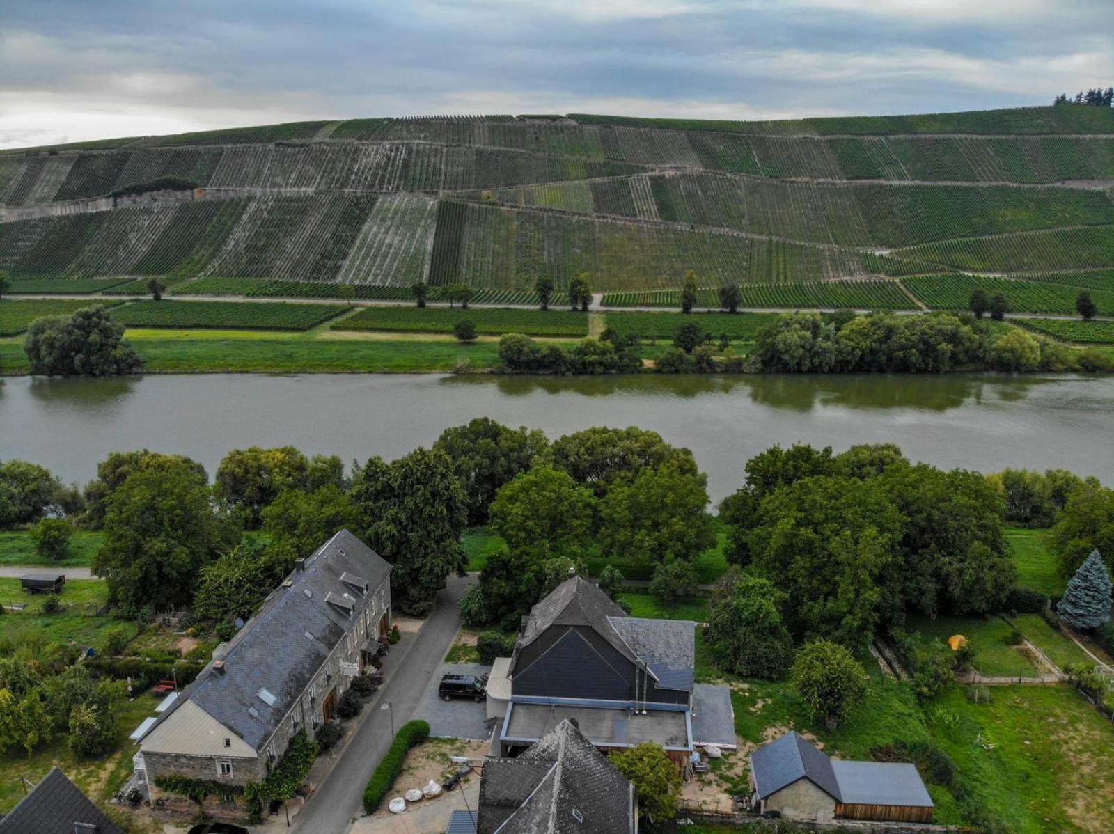 FeWo Freis in Brauneberg