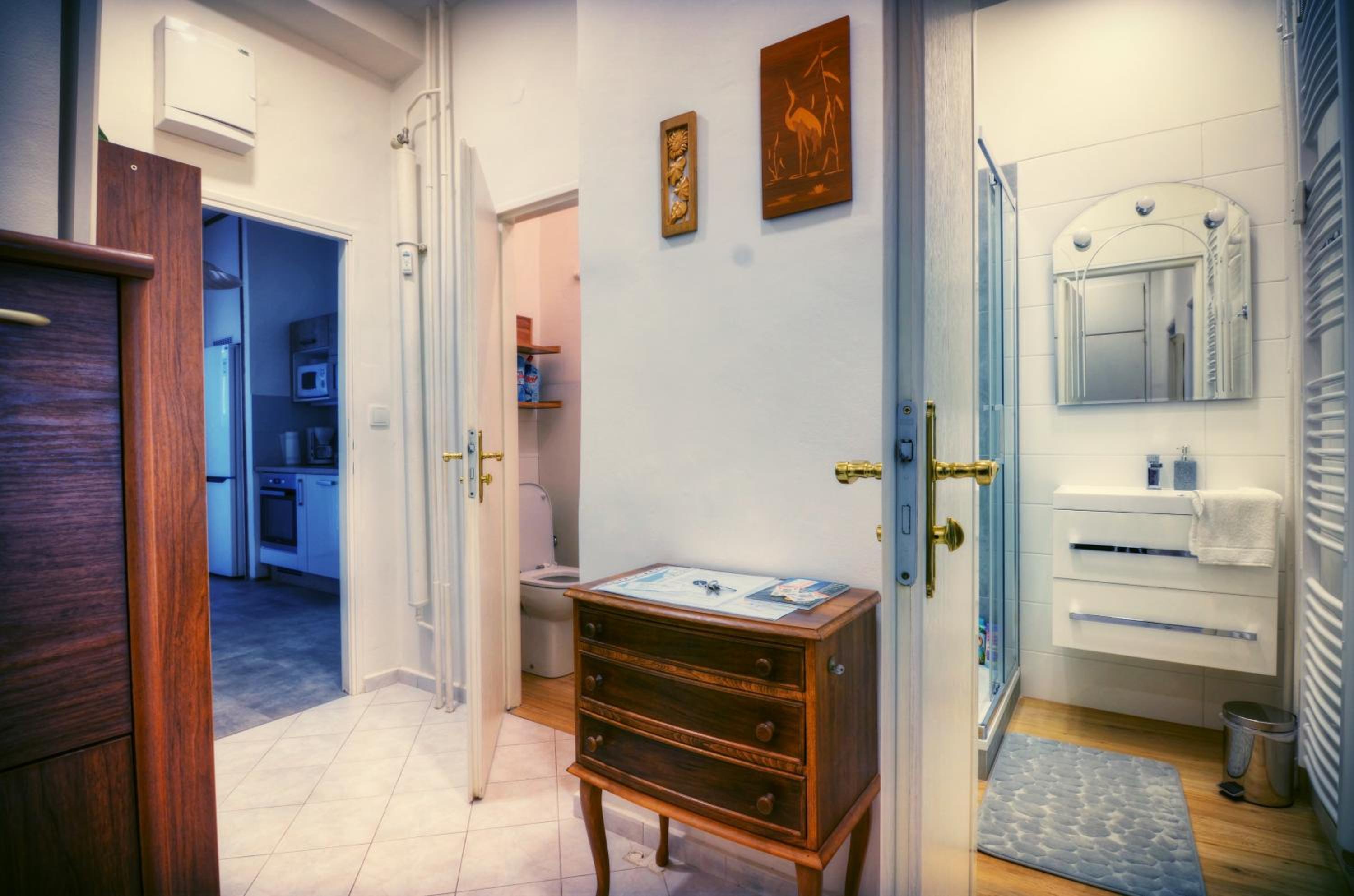 Apartment Anna Vysehrad