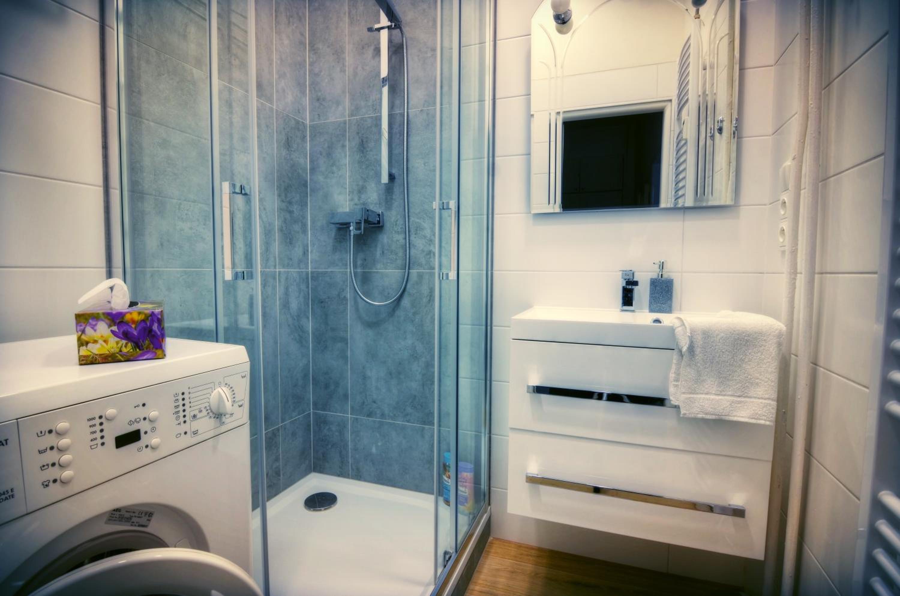 Apartment Anna Vysehrad