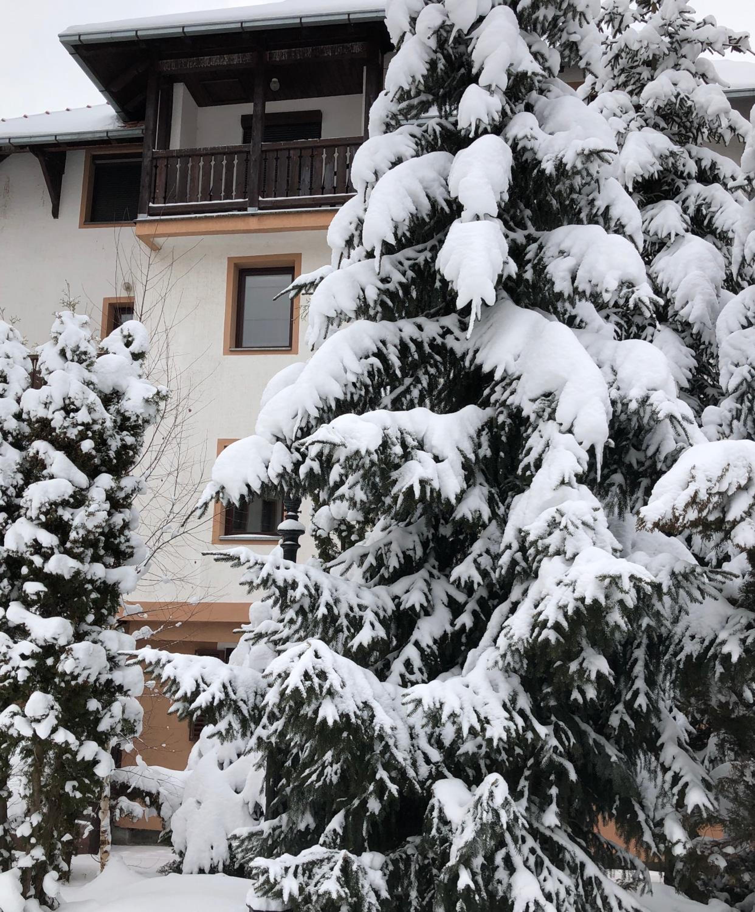 Zlatibor apartman Vladovic