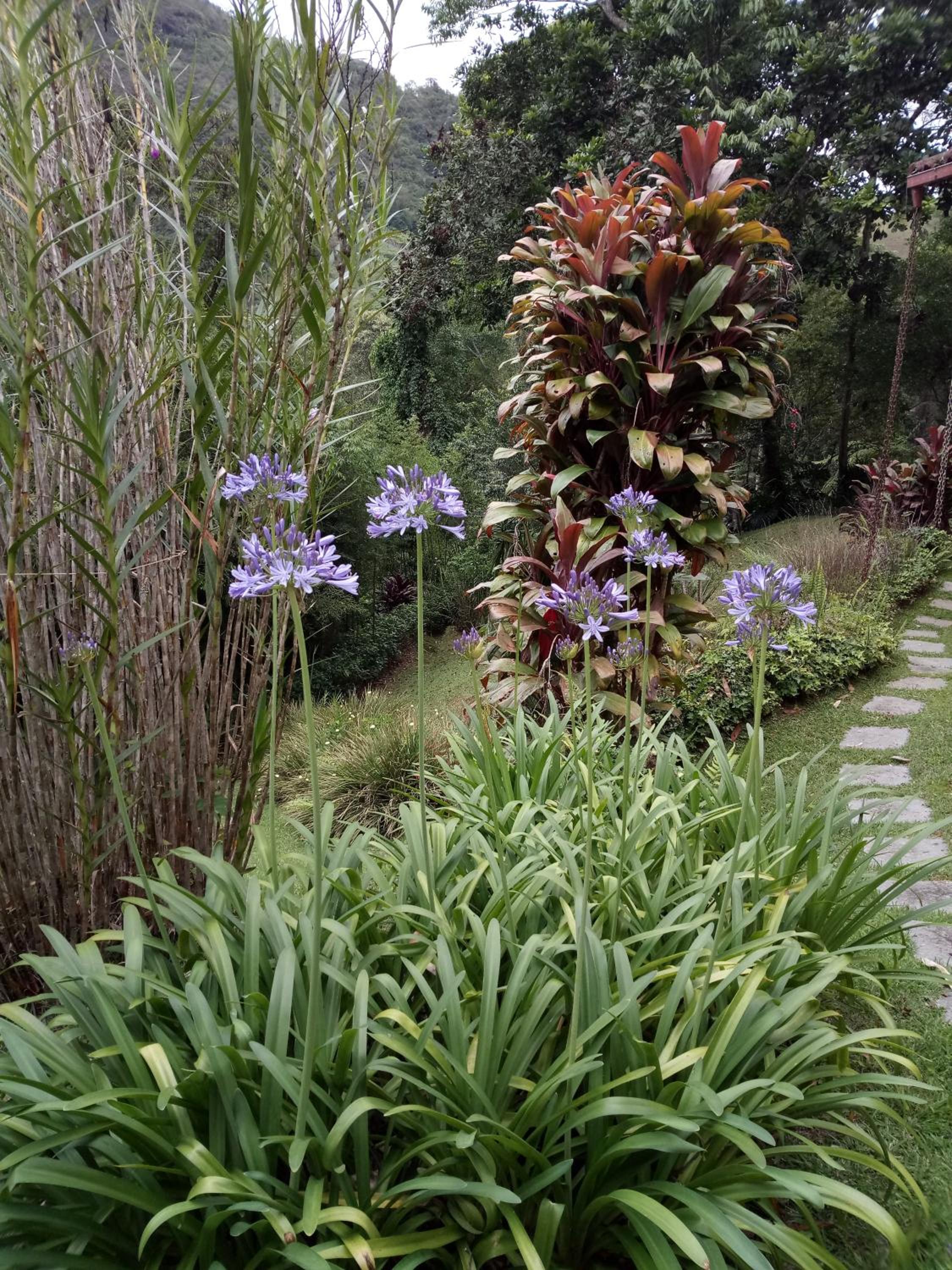 JARDIM REAL - Chalés para casais