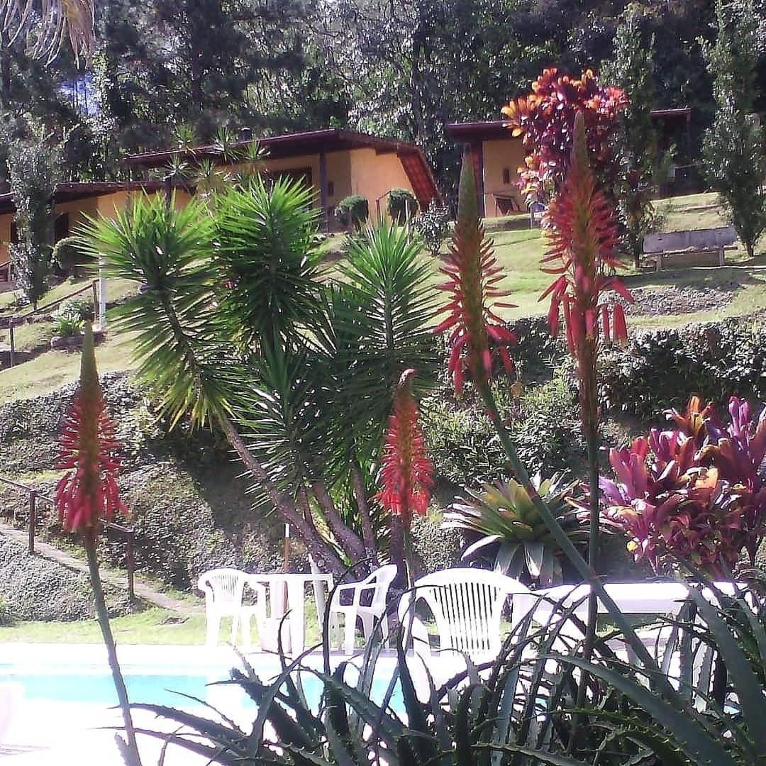 JARDIM REAL - Chalés para casais